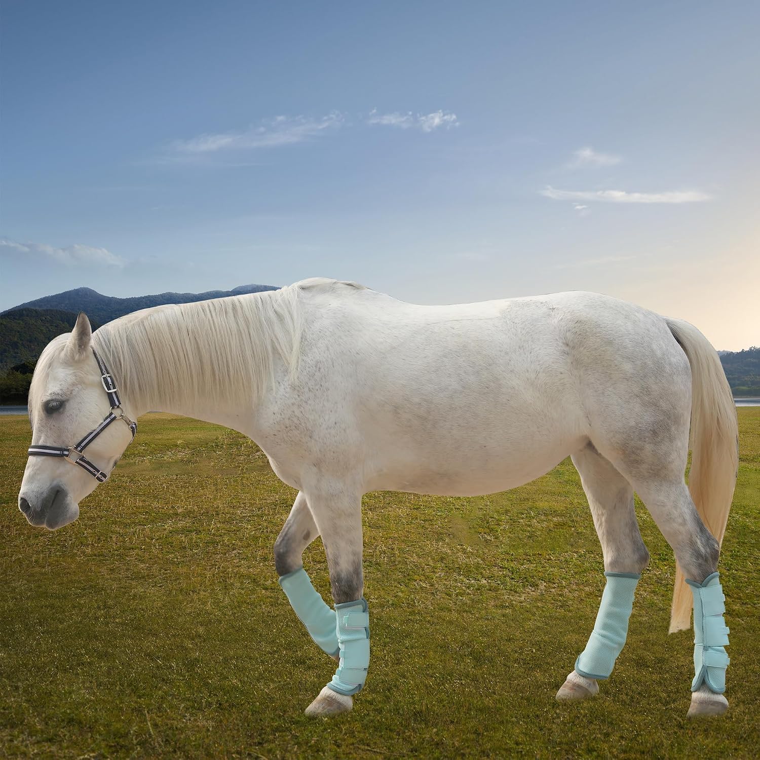Detalle 2 de Gallopoff Horse Fly Boots Set of 4, Sky Blue 🐴