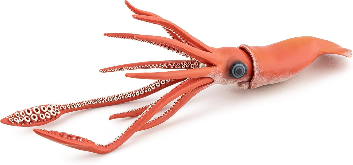 Thumbnail 5 de Papo Calamaro Gigante realistico (collezione Universo Marino) – statuetta da gioco educativo, 3 anni+