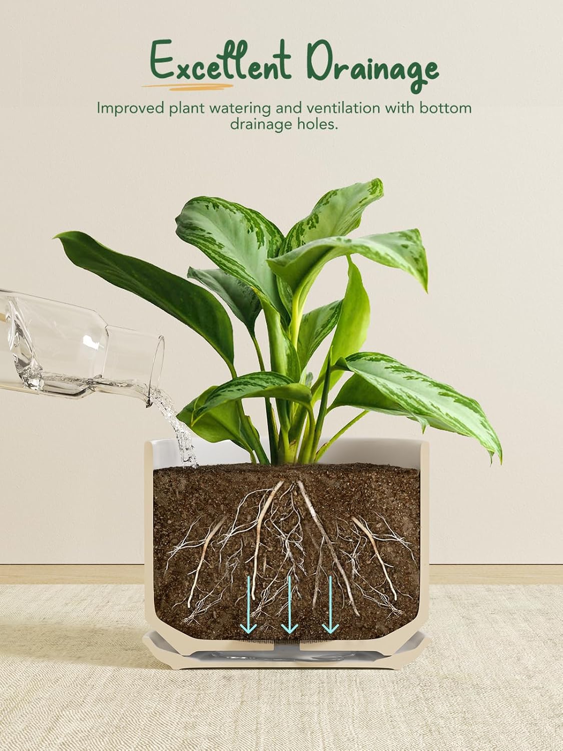 Detalle de LE TAUCI 25 cm Ceramic Plant Pot with Drainage Hole and Saucer