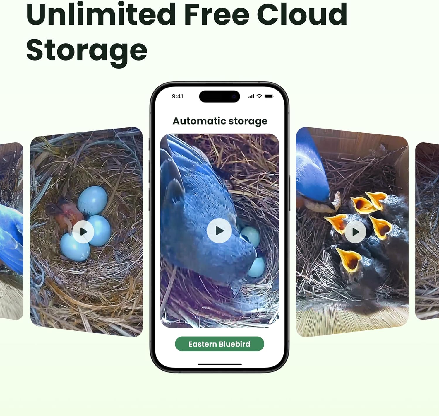 Thumbnail 3 de Birdfy Bird House with Camera: Solar Powered Outdoor Nest Cam for UK Birders