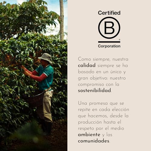 Detalle de illy Café en Grano CLASSICO (500 g) 100% Arábica