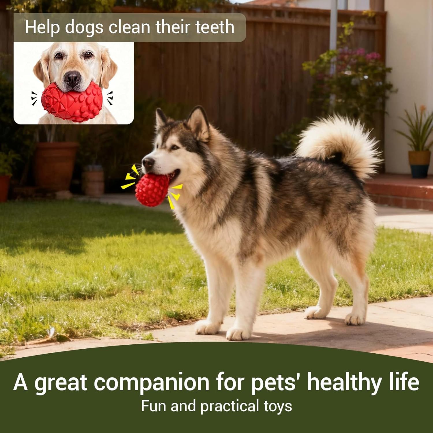 Thumbnail 3 de FSZMMJJ Indestructible Pinecone Squeaky Dog Chew Toy (Red) for Aggressive Chewers