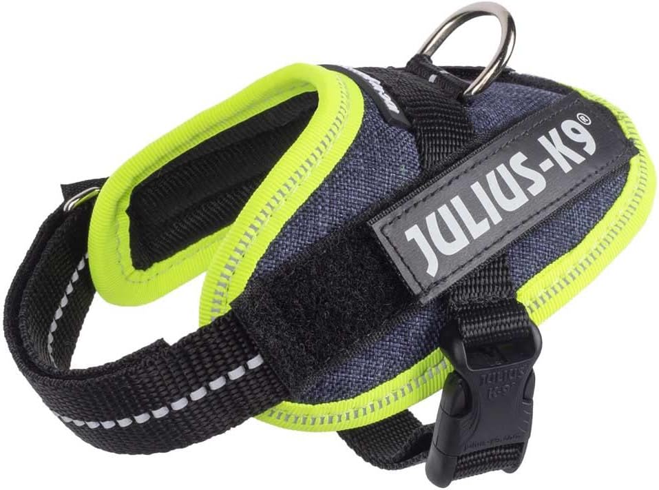 Thumbnail 6 de Julius-K9 IDC Powerharness (Size M/0) in Aquamarine – Practical, Everyday Dog Harness