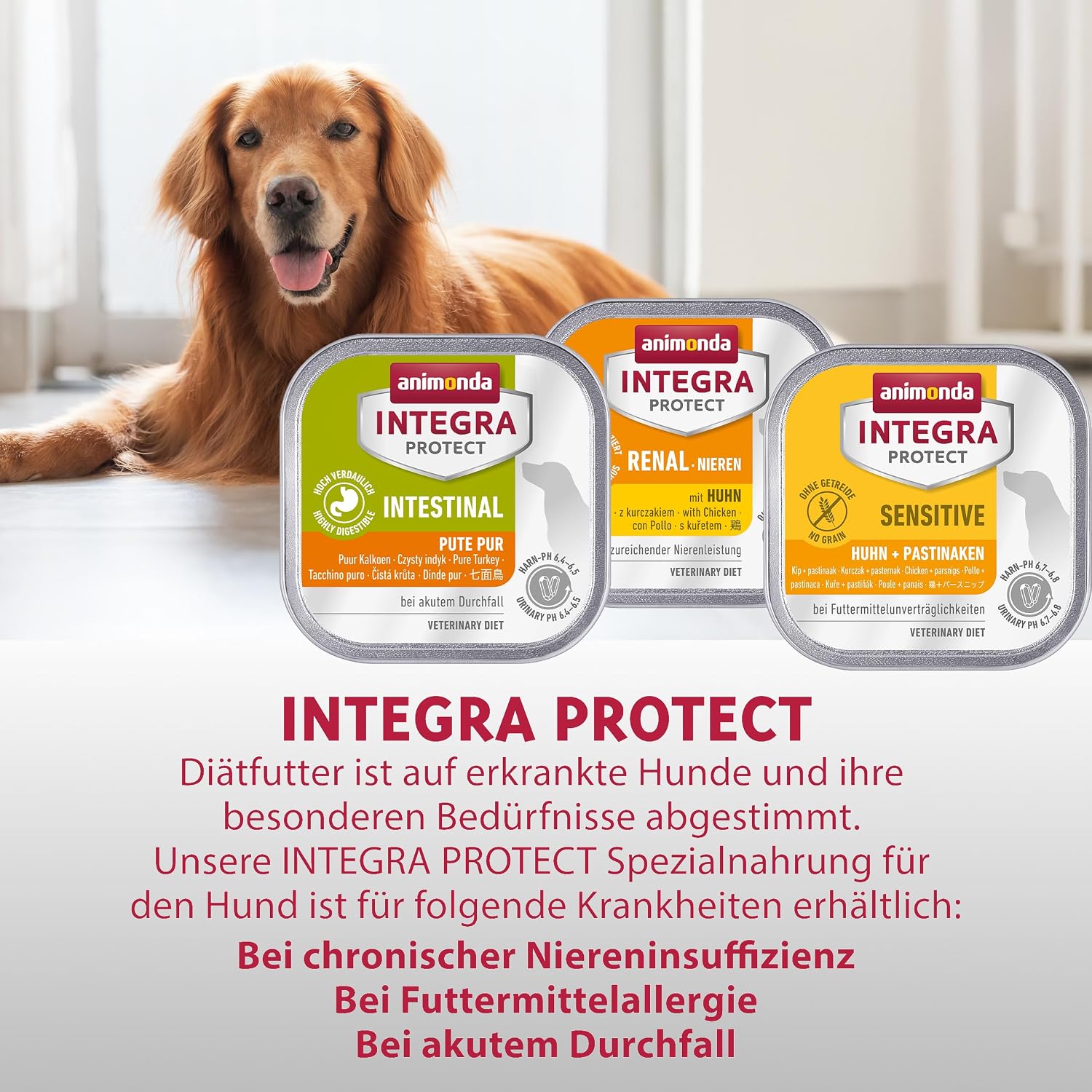 Detalle de animonda INTEGRA PROTECT Intestinal Pute Pur – Nassfutter bei Durchfall & Erbrechen (11 x 150 g)