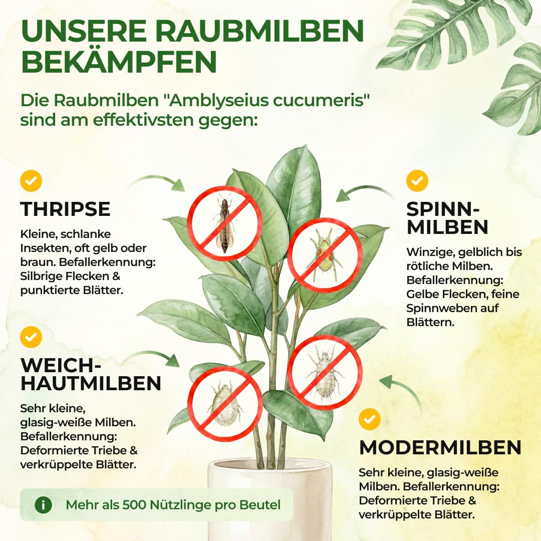 Detalle 2 de GREEN GUARDIA Power Raubmilben Mix 6 Tüten
