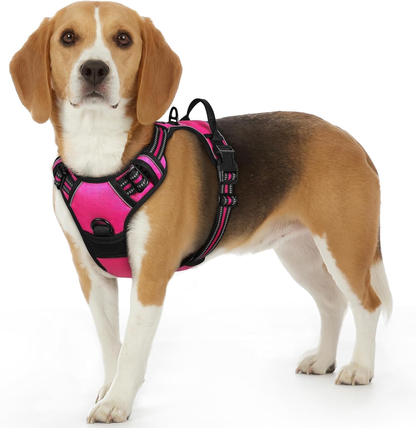 Detalle de Eagloo Harnais Chien S — Harnais Anti Traction réfléchissant avec poignée, rose rouge, taille S