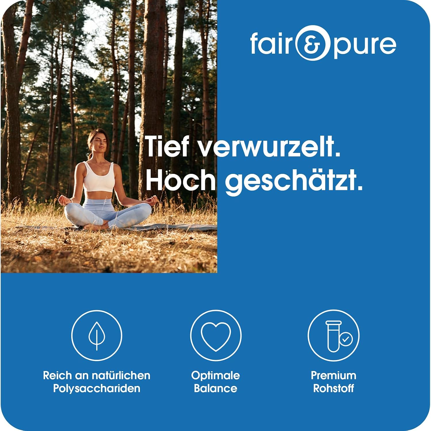 Detalle 2 de Fair & Pure Polyporus 1300 mg – vegane Nahrungsergänzungsmittel, 120 Kapseln, hergestellt in Deutschland