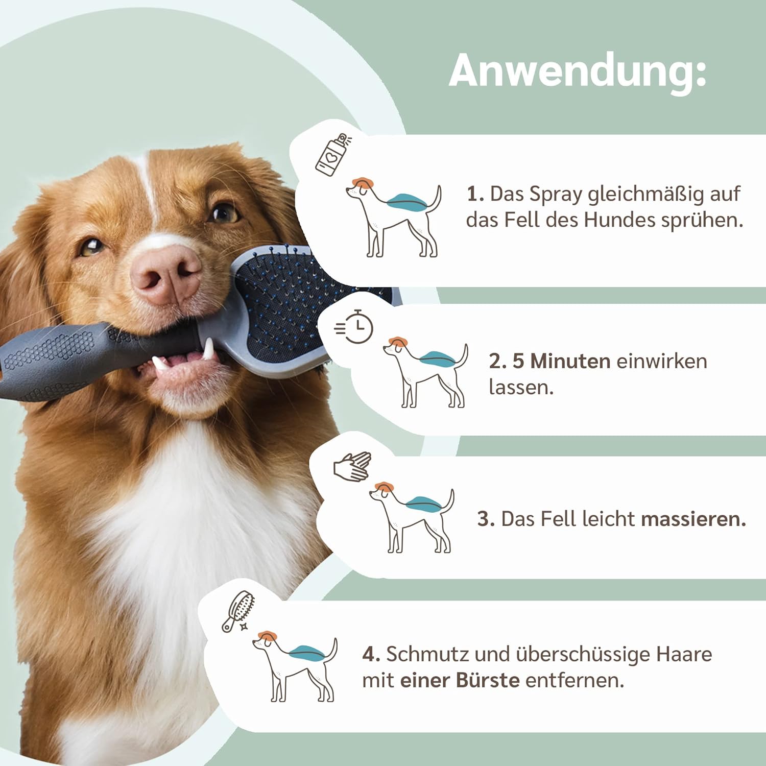 Detalle de amusi Spray für Hunde 250 ml – Flohshampoo gegen Juckreiz, pH-neutral, vegan und Made in Italy