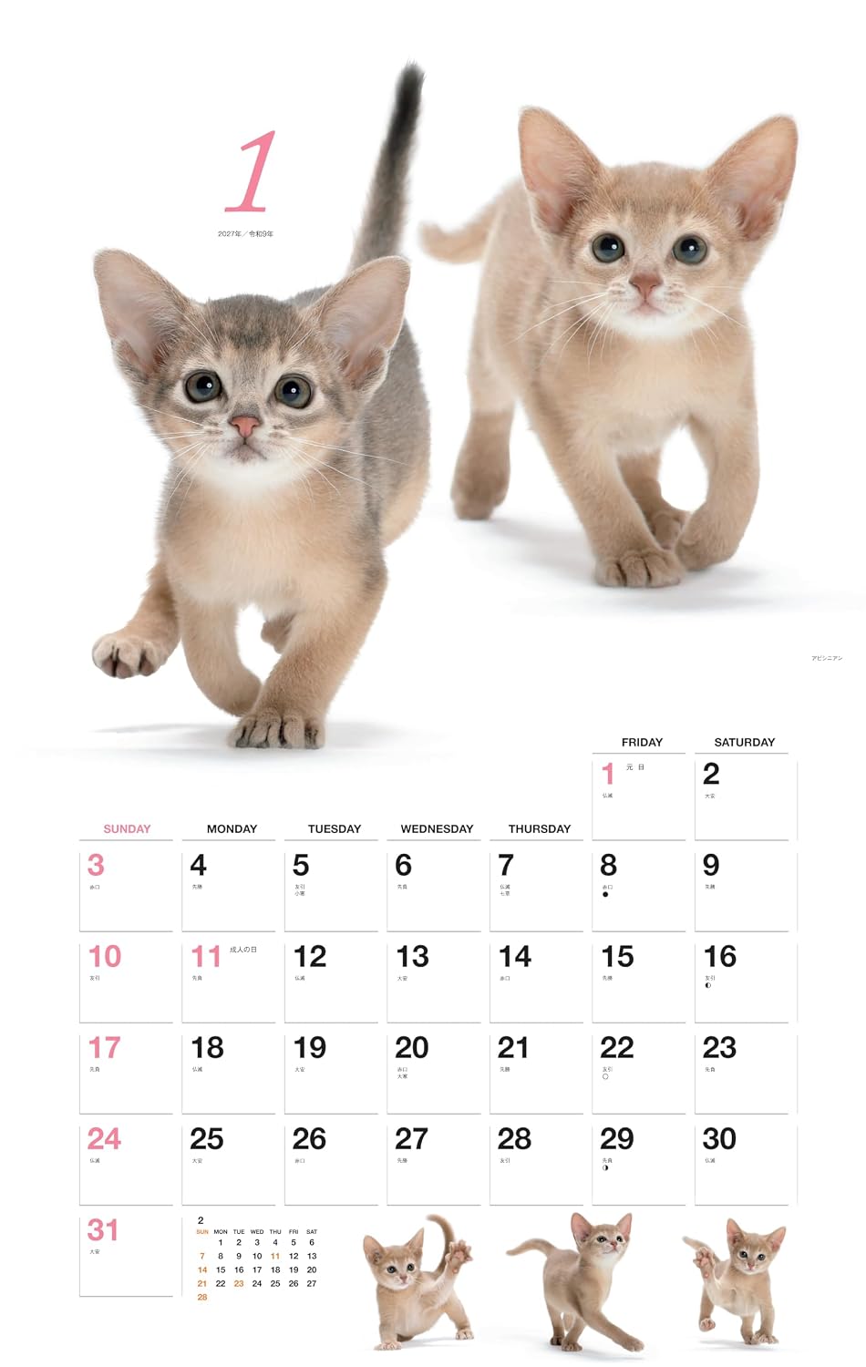 Detalle 1 de ヤマケイカレンダー2027 ほのぼの子ねこ 壁掛け月めくりカレンダー