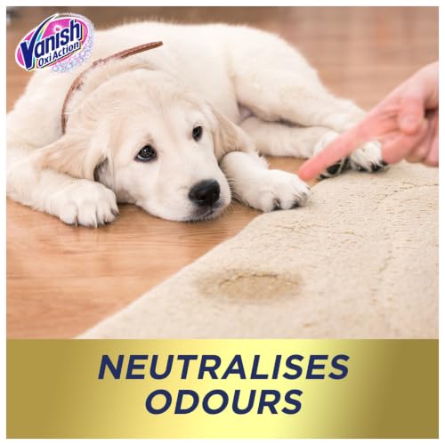 Detalle 2 de Vanish Gold Oxi Action Carpet Powder Deep Cleaner 650g
