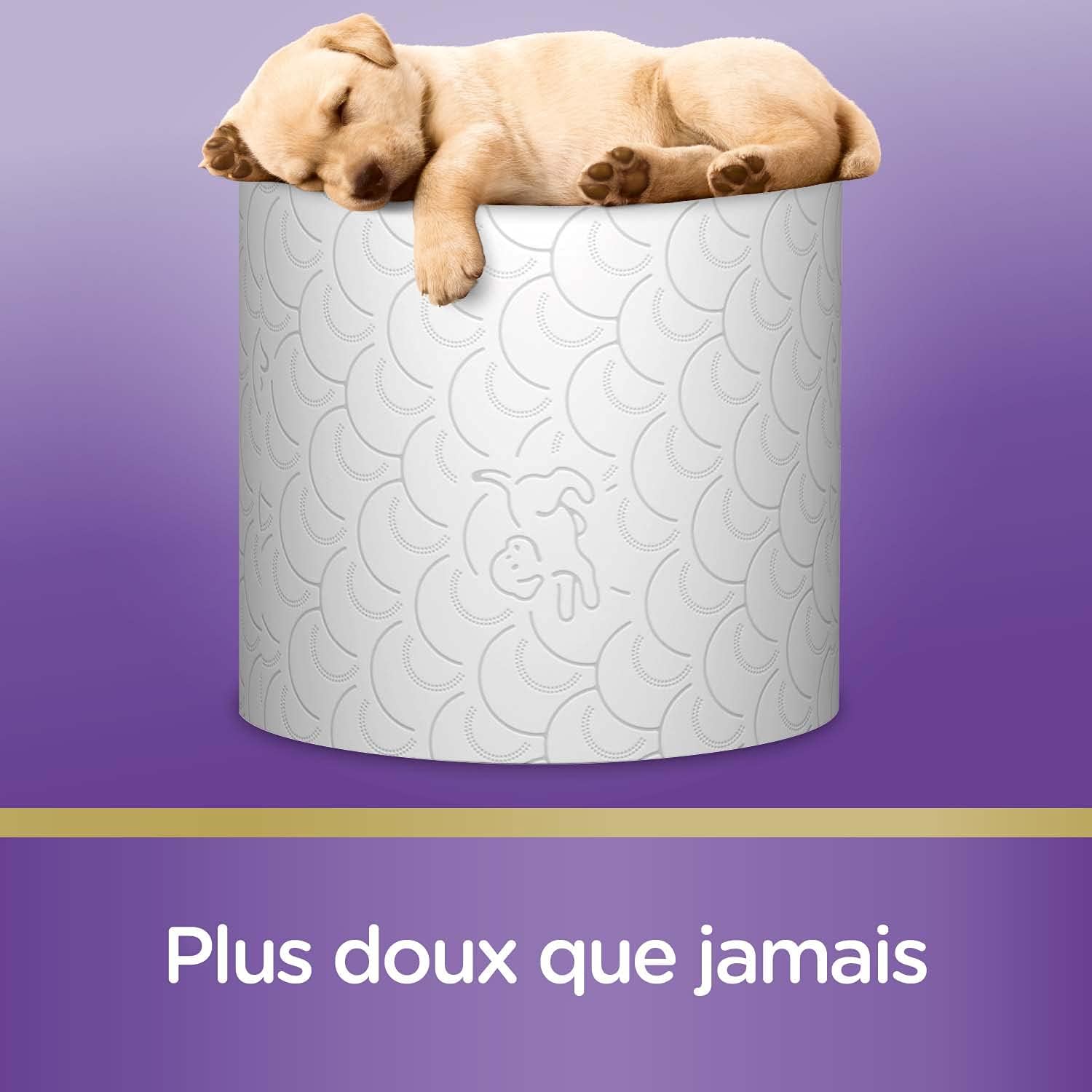 Thumbnail 3 de SCOTTEX Coussiné – Papier Toilette (12 paquets de 7 rouleaux) douceur, confort et écologie