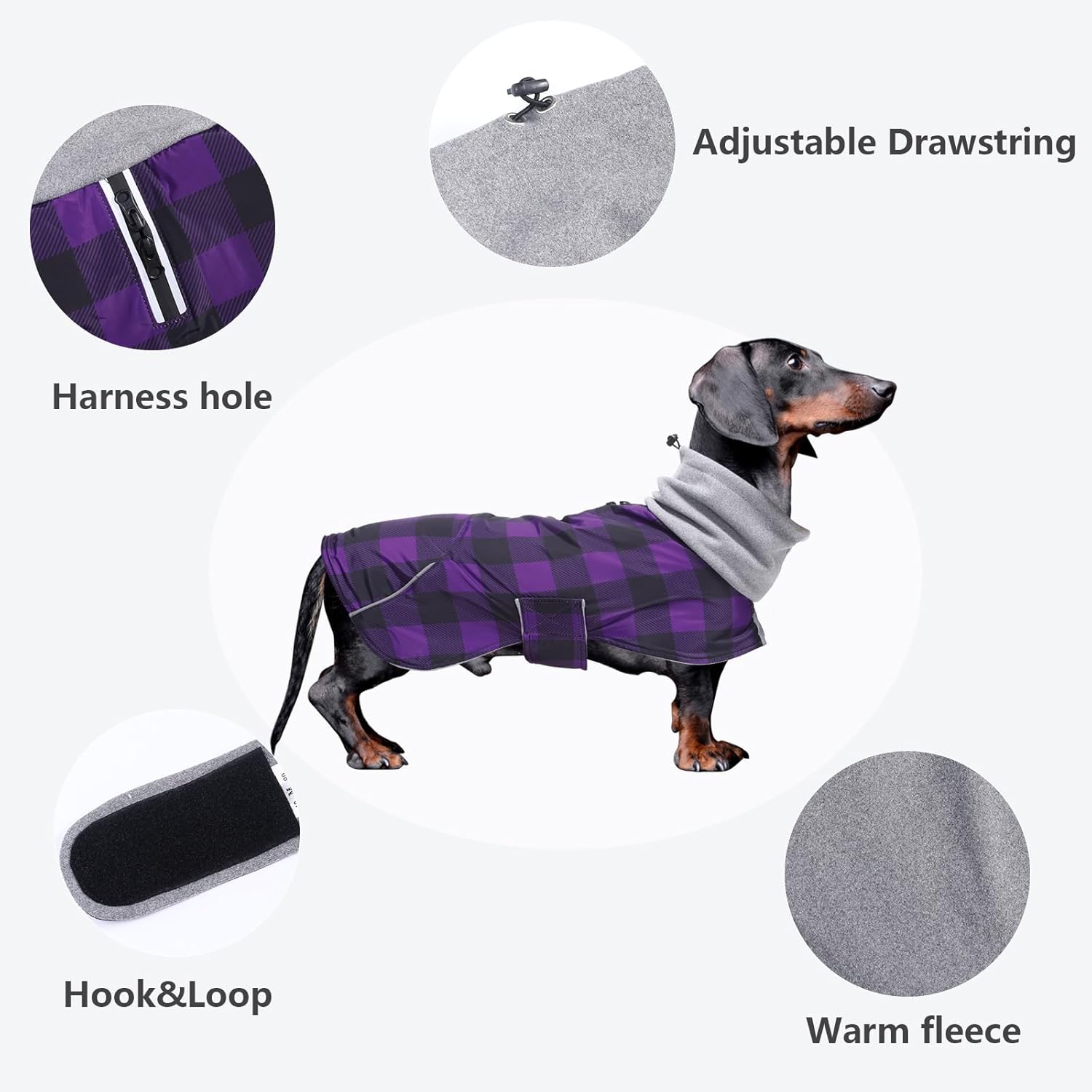 Thumbnail 3 de Morezi Dachshund Coat Waterproof with Padded Fleece Lining, Reflective Stripe and Harness Hole