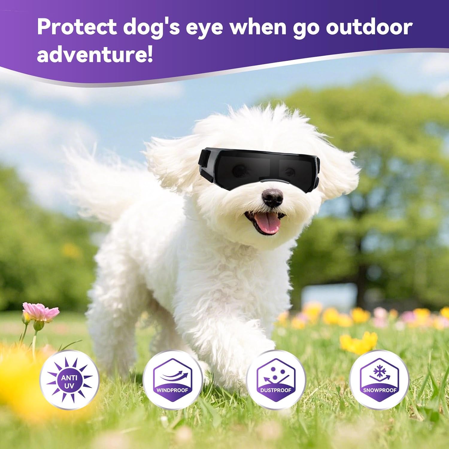 Thumbnail 3 de PETLESO Hunde Sonnenbrille Windschutzbrille