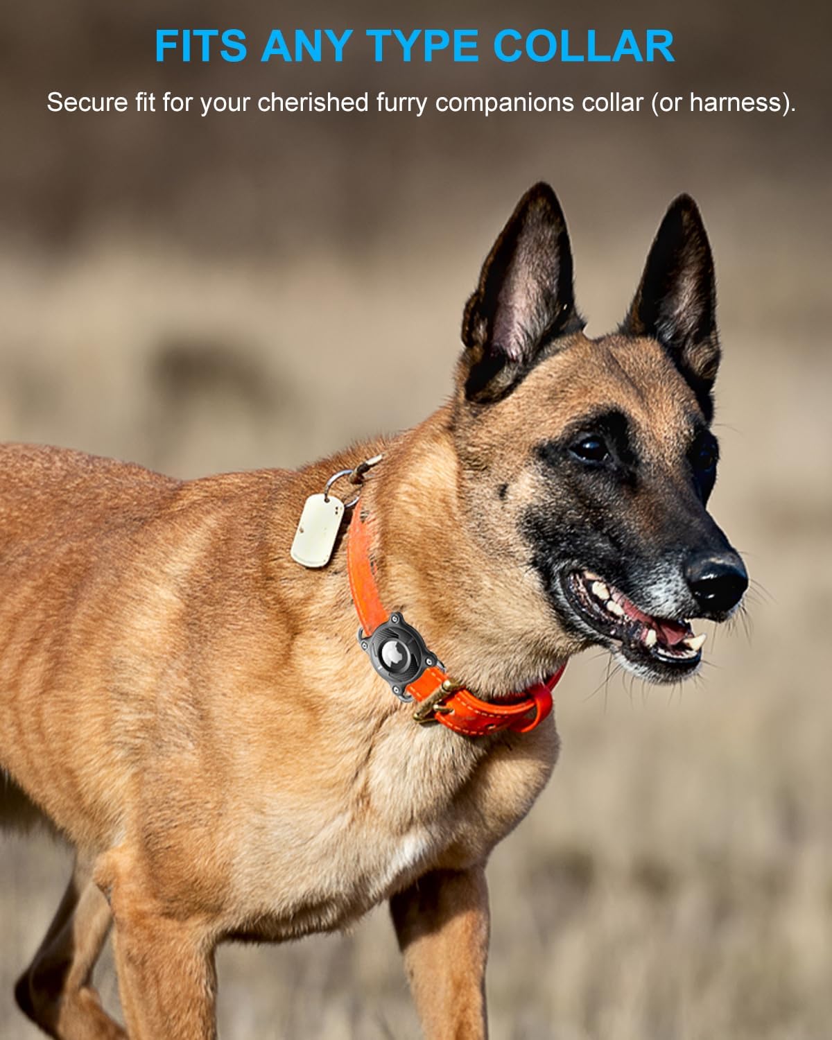 Detalle 2 de Airtag Dog Collar Holder — Waterproof, Removable Metal Loop, Fits 3cm Width Collars