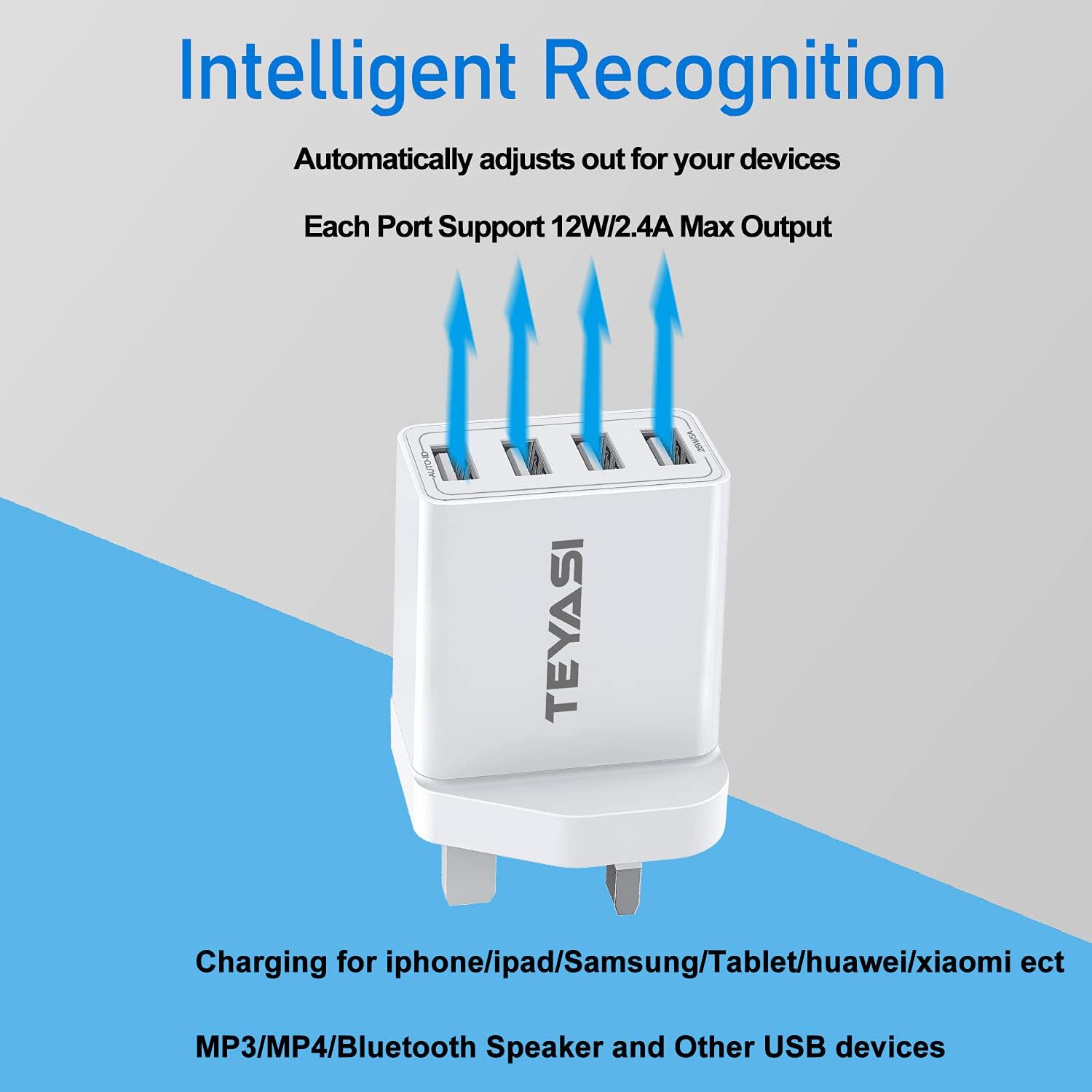 Detalle de USB Plug Multi USB Charger 25W