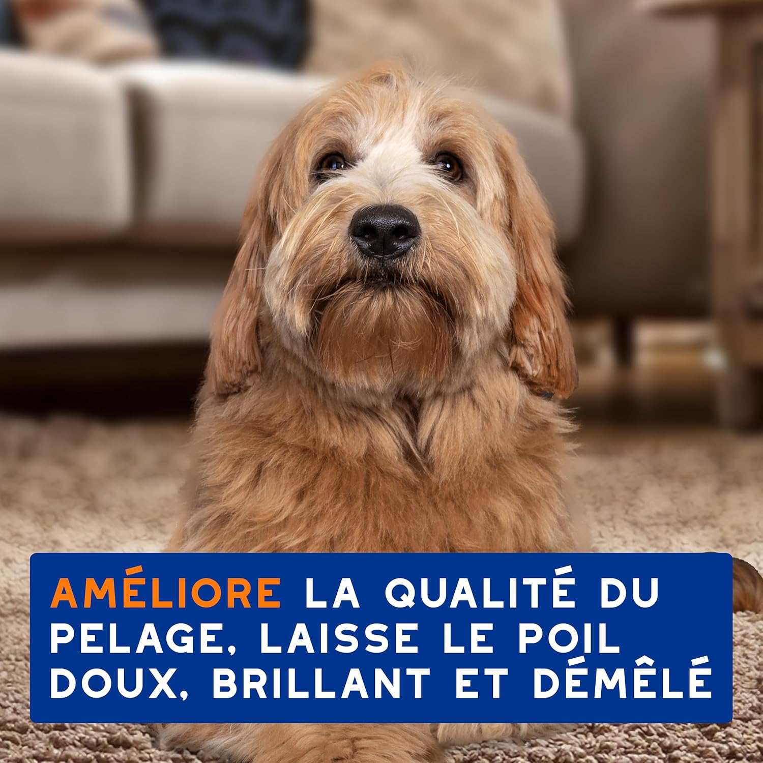 Thumbnail 6 de DOUXO Skin & Coat Spa – Shampoing 2 en 1 démêlant pour chiens, 250 ML, nettoie et hydrate en profondeur peau et pelage