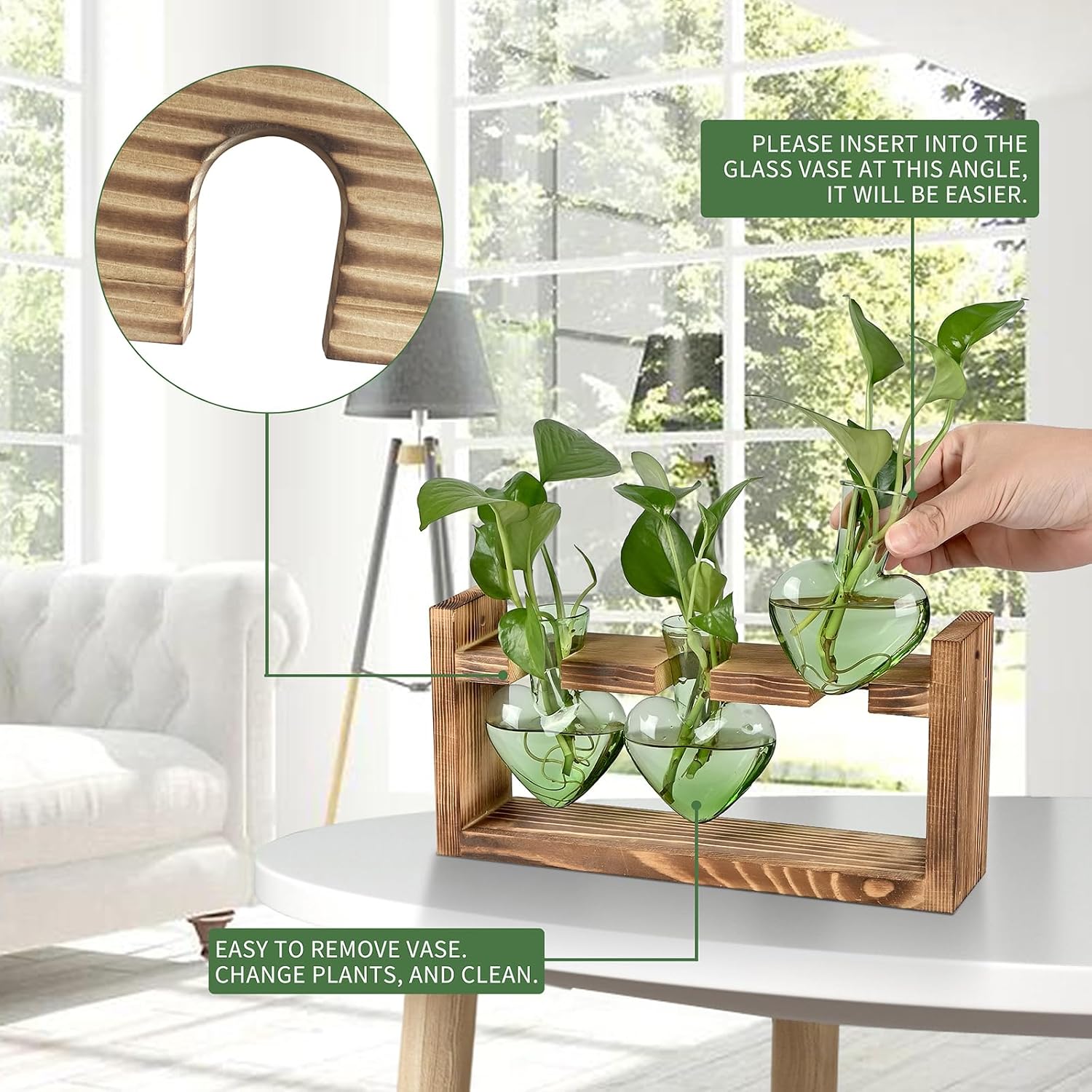 Thumbnail 1 de Heart-Shaped Glass Plant Propagation Station