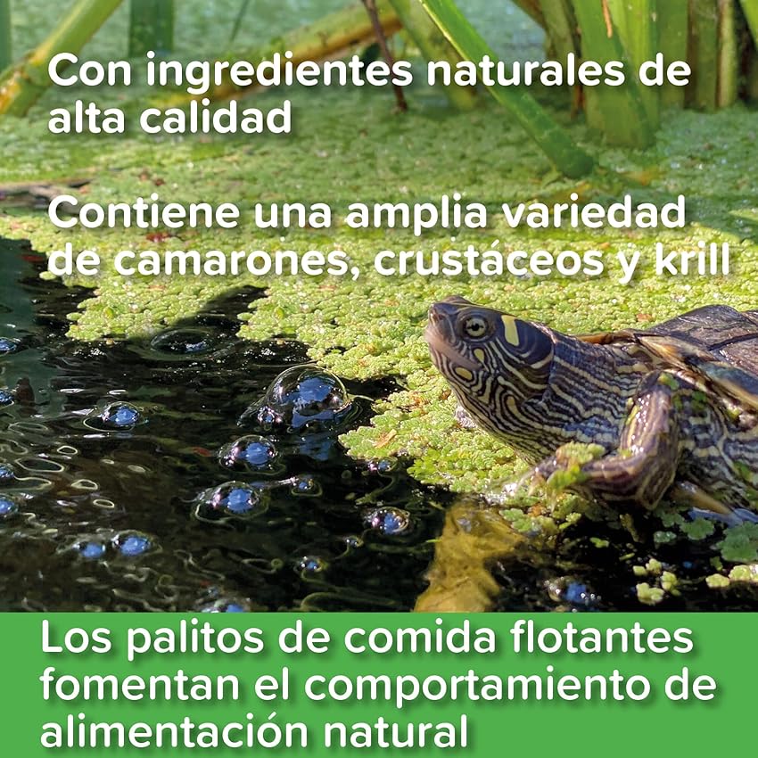 Thumbnail 4 de King British Alimento completo para tortugas 200 g 🐢