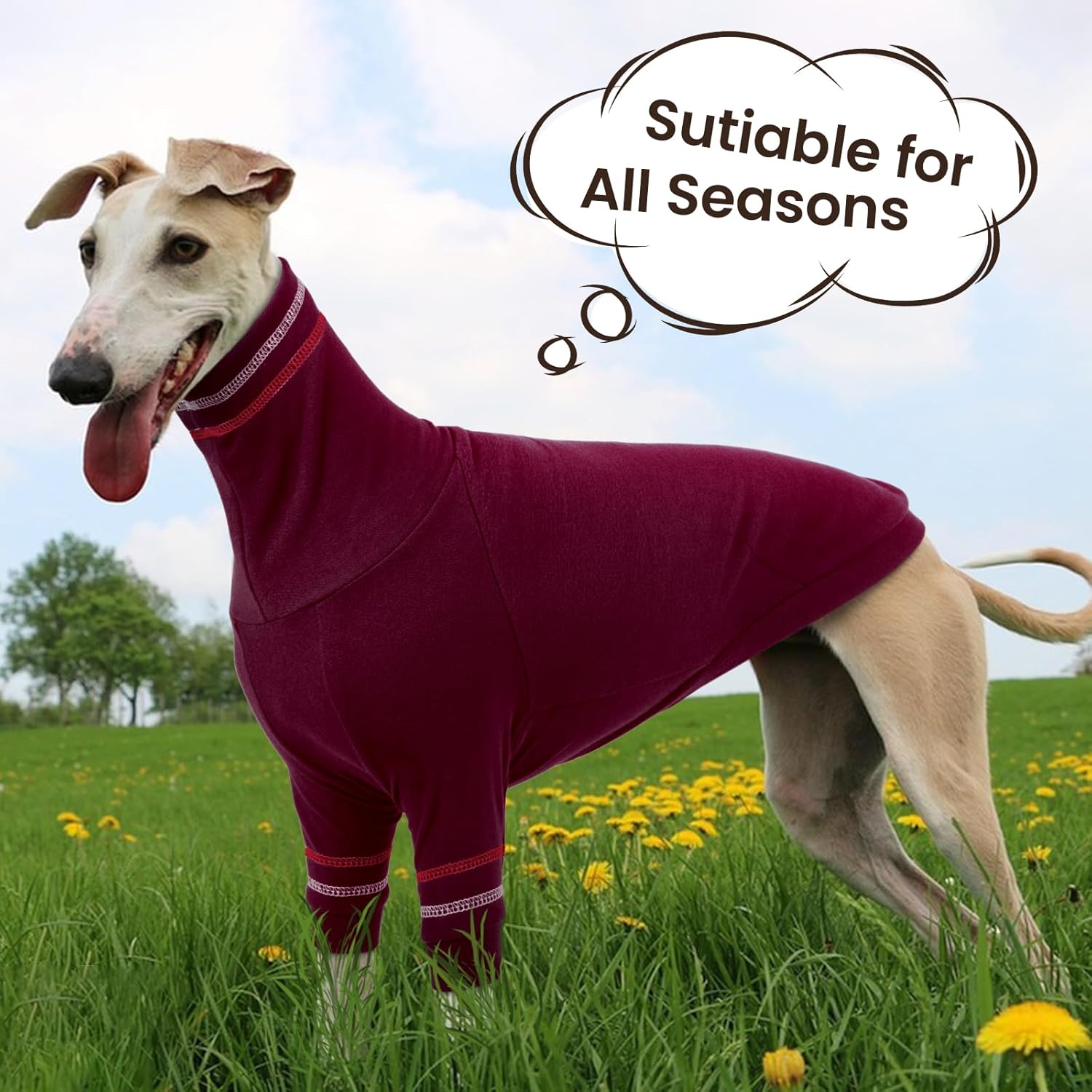Thumbnail 5 de OUOBOB Greyhound dog sweater – Italian Greyhound/Whippet stretchy turtleneck coat
