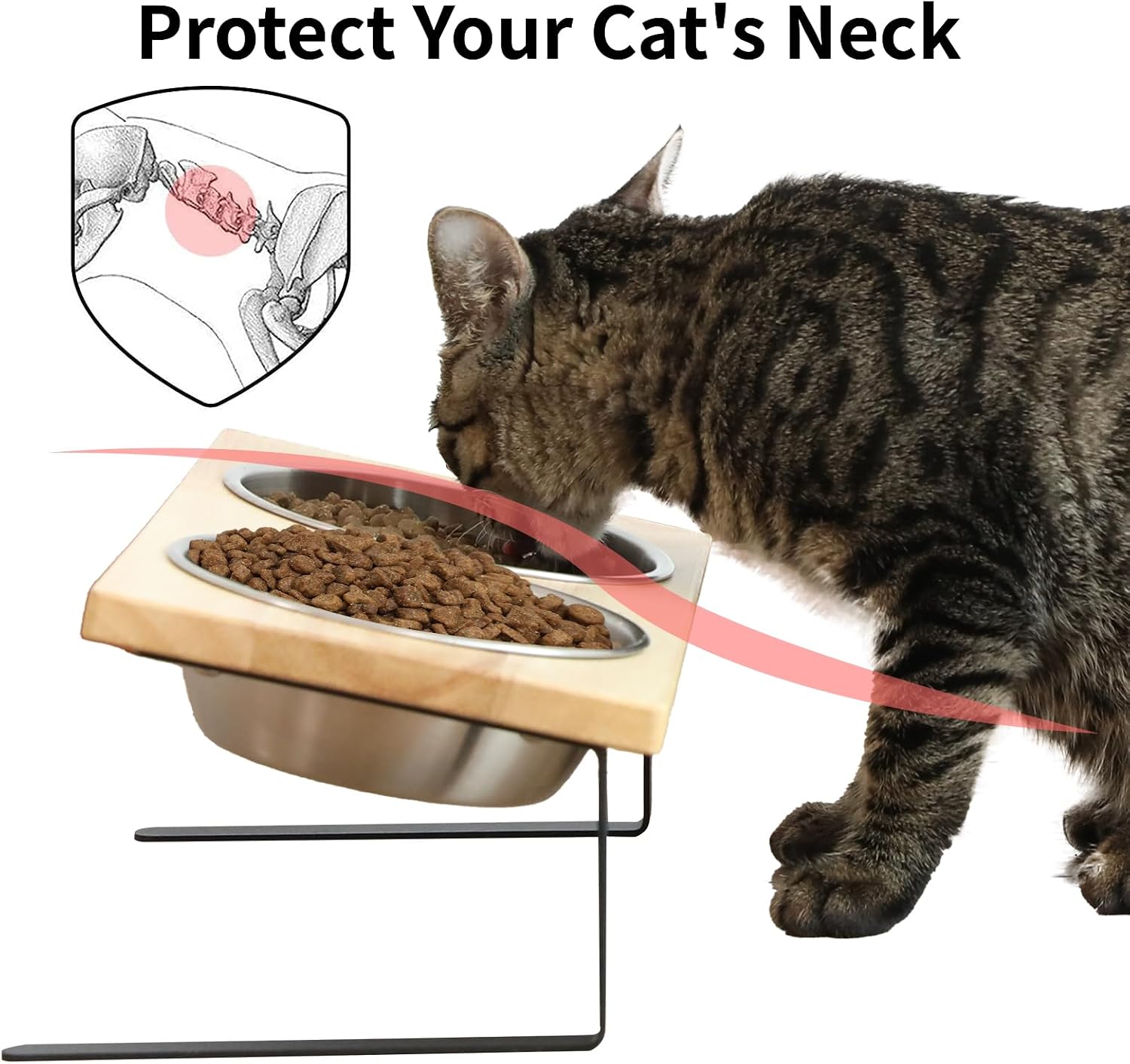 Detalle 2 de Elevated Cat Bowls 15° Tilted Raised Stainless Steel Bowl Stand Set for Small Dogs & Cats