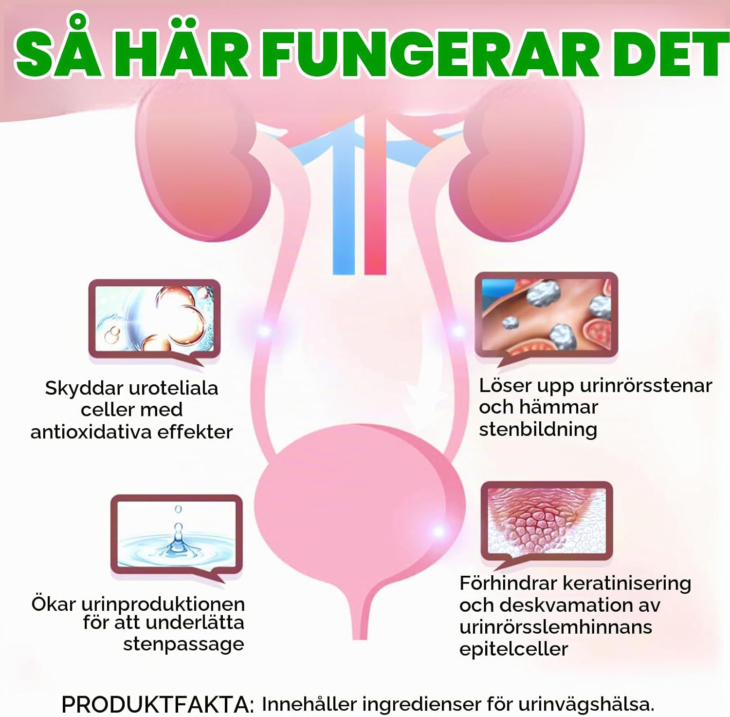 Thumbnail 6 de RoongDuuDll urinstöd för katt, droppar med tranbärsextrakt, 60 ml