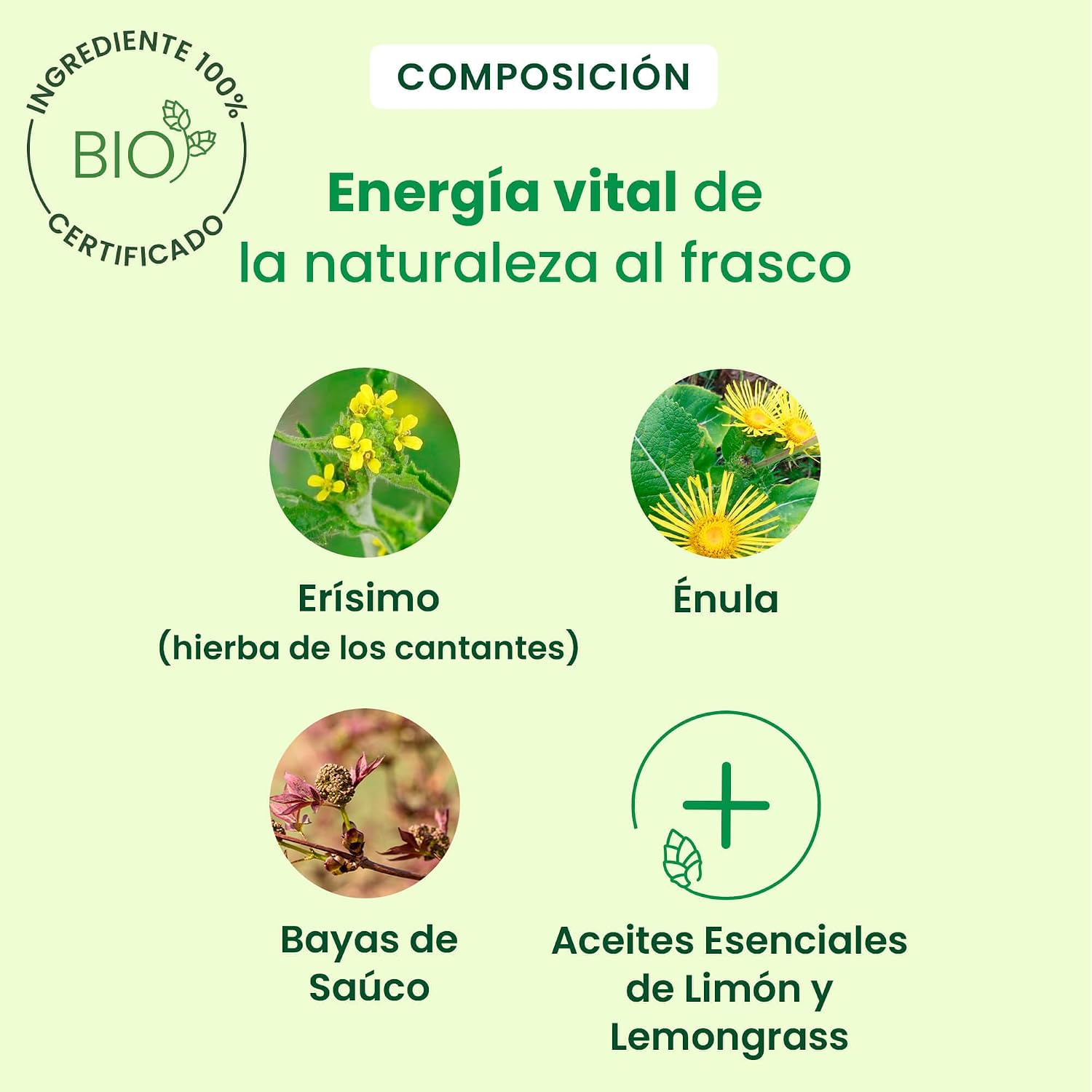Detalle 1 de HERBALGEM Jarabe de los Cantantes 🌿 - Vocales Saludables 250ml
