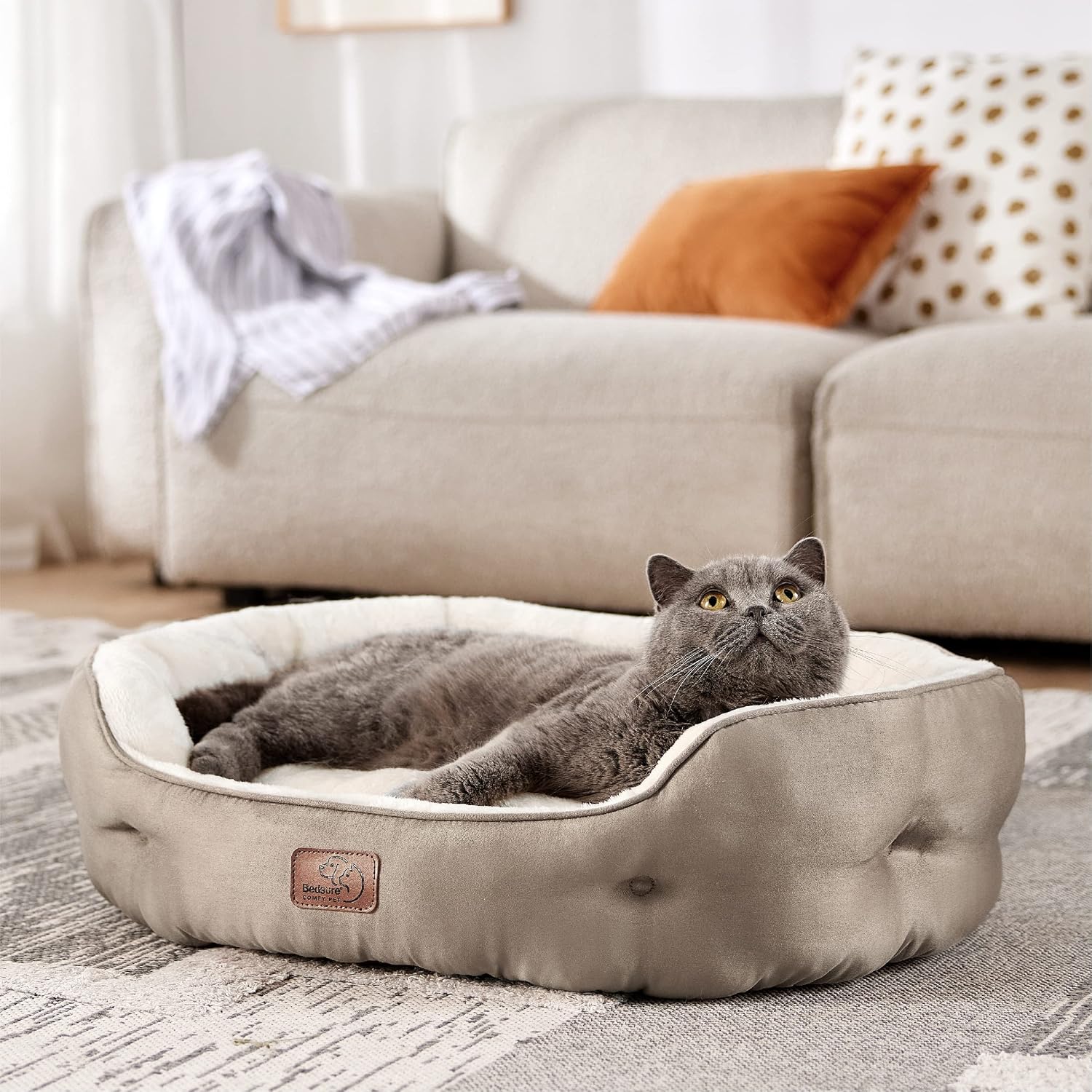 Thumbnail 6 de Bedsure Dog Bed 63x53x20cm for Small Dogs