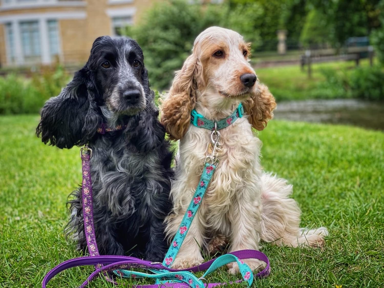 Thumbnail 1 de YUDOTE Floral Dog Collar Large (Purple) – printed flower pattern, neck 40–66cm