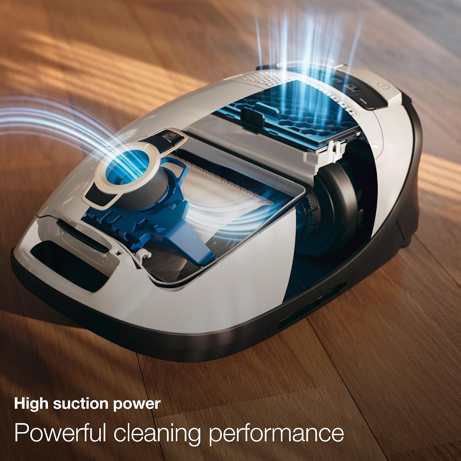 Detalle de Miele Canister Vacuum Classic C1