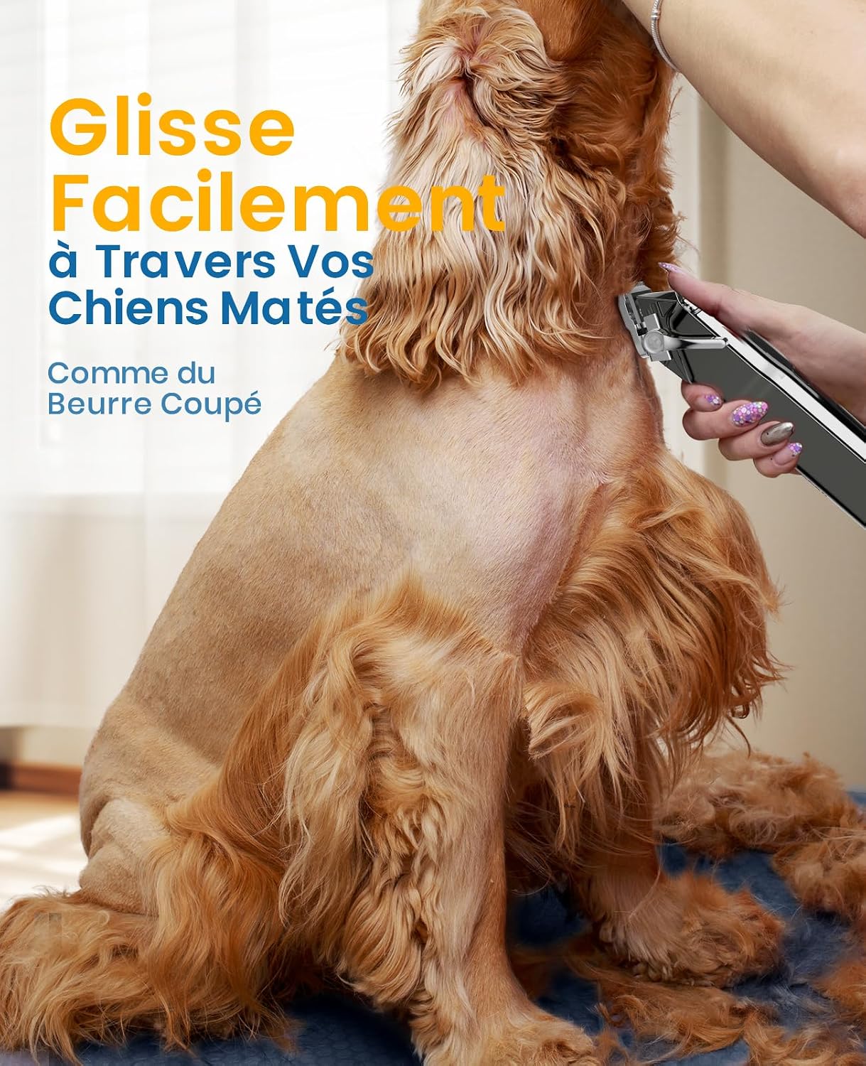 Detalle 2 de Oneisall Tondeuse à poils pour chiens — sans fil, étanche IPX7, pour poils longs et épais