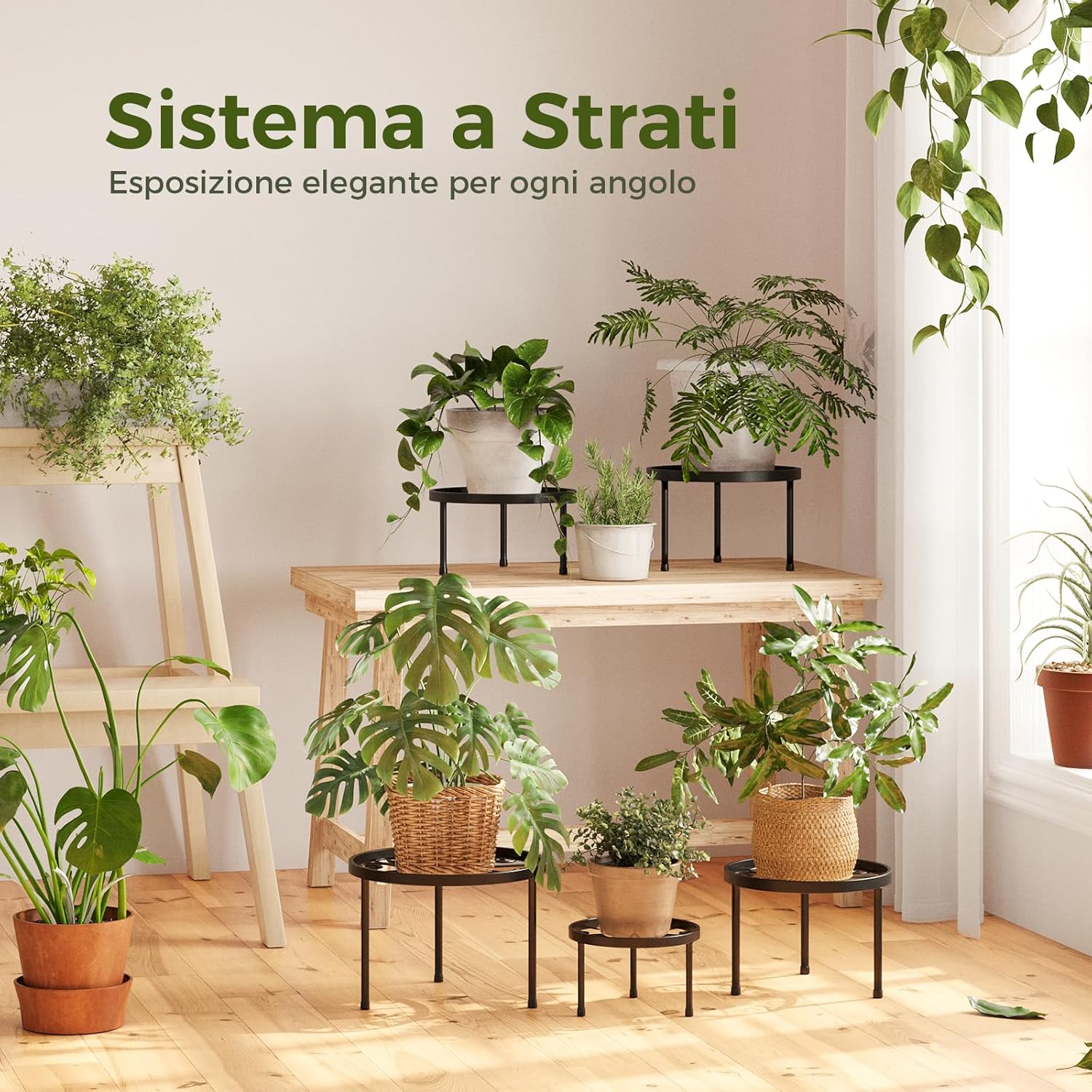 Thumbnail 3 de Bamworld set da 5 porta piante da esterno in metallo nero, piedistalli rotondi (Ø 28/25/23/20/17 cm)