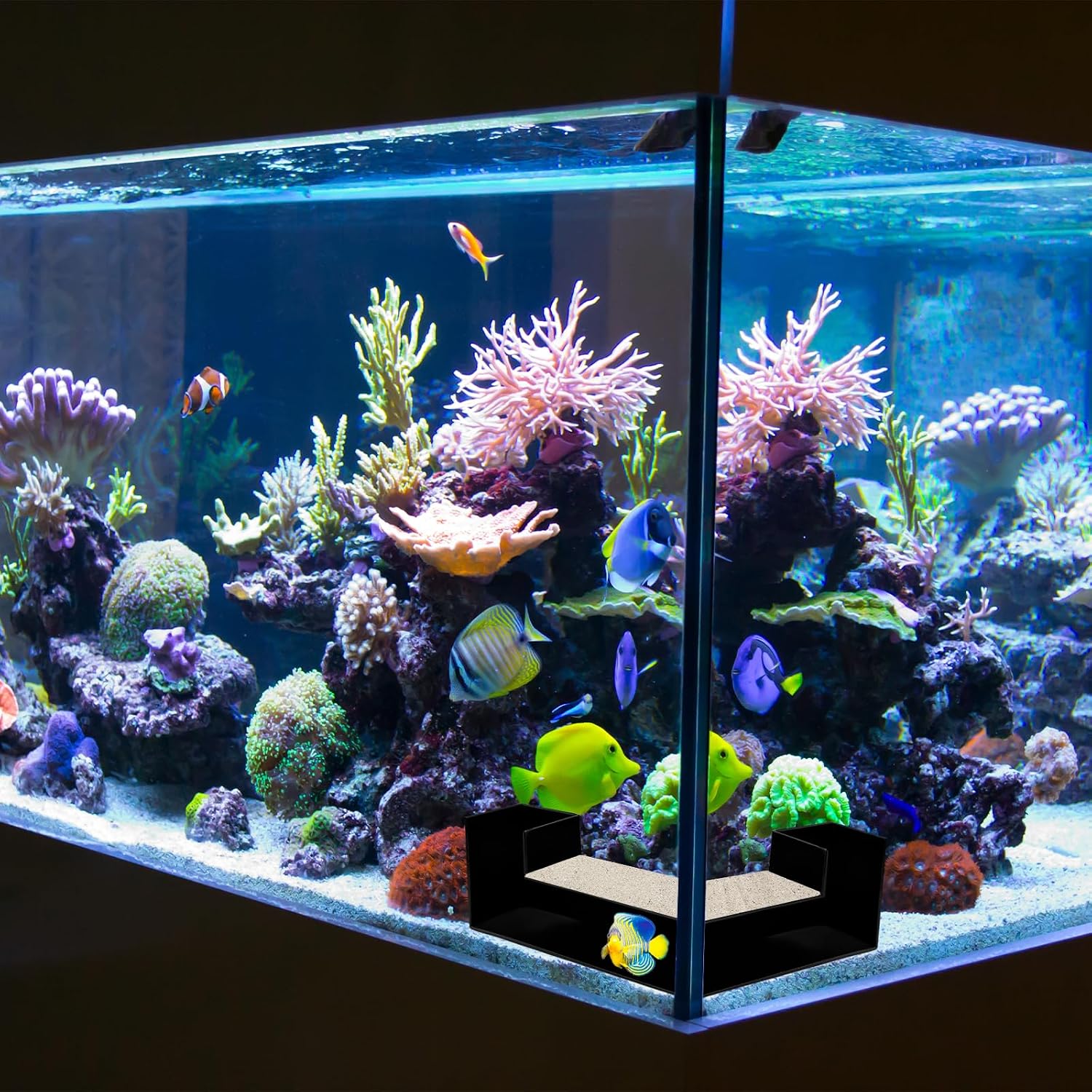 Detalle 2 de Mudoulu Aquarium Tunnel Decoration: Corner ABS Hideout for Shrimp, Betta and Crayfish