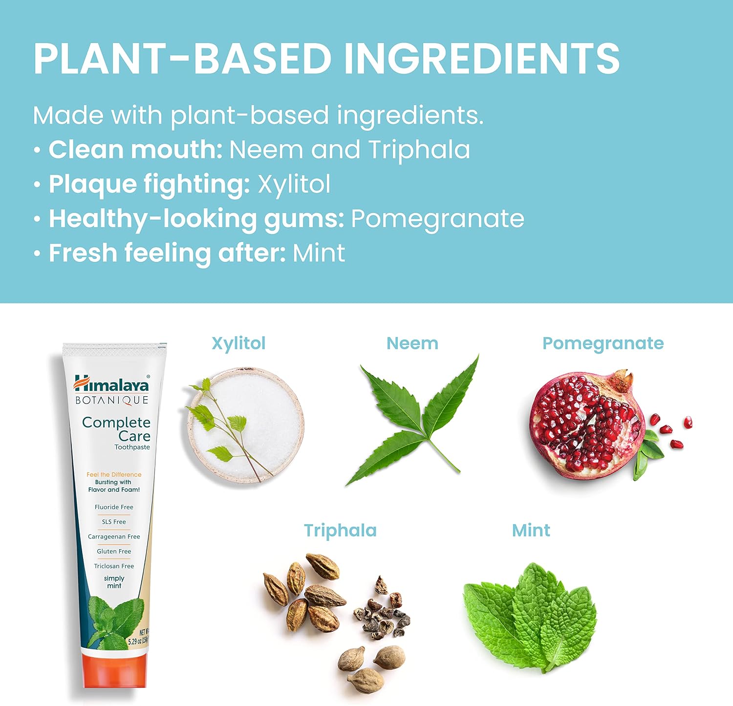 Detalle de Himalaya Botanique Simply Mint Complete Care Toothpaste – Refreshing Mint, Strong Teeth & Healthy Gums
