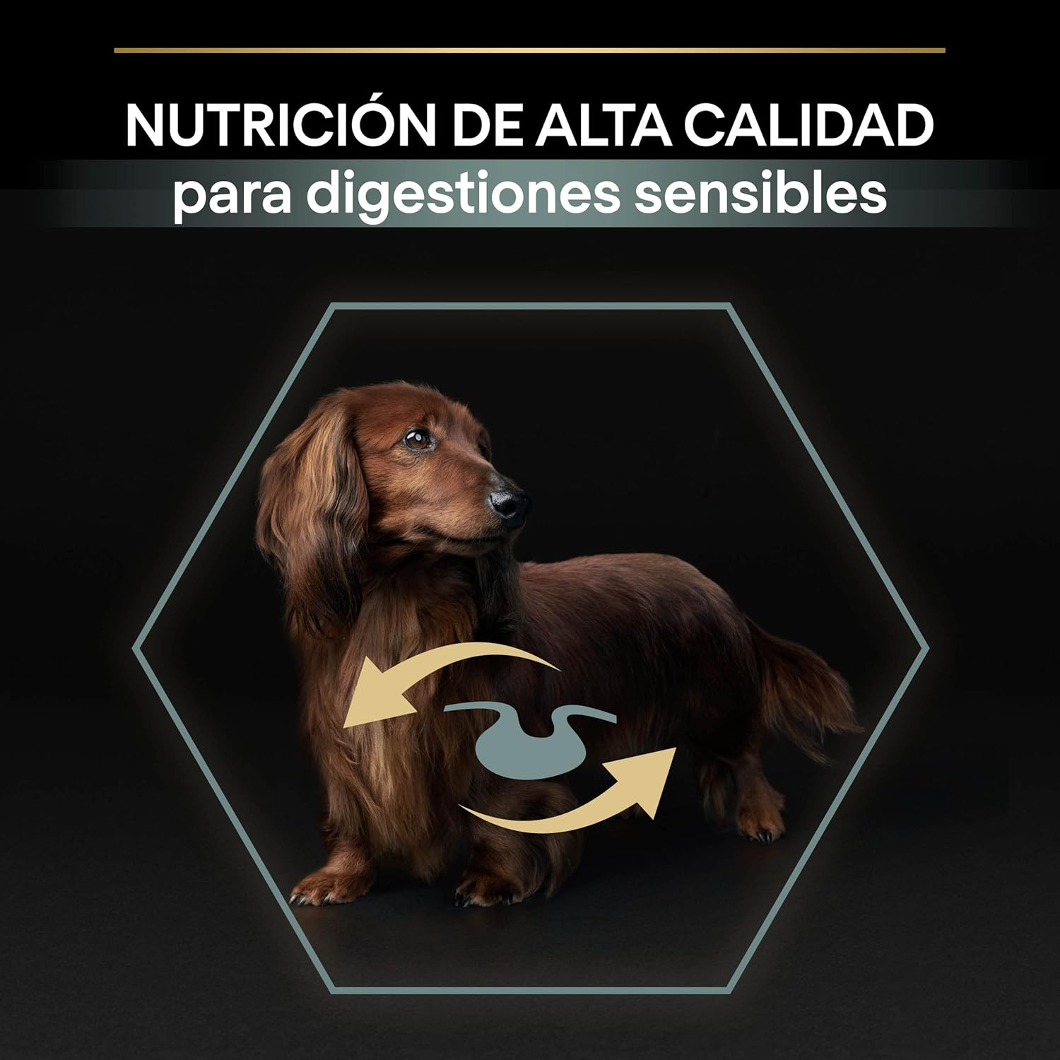 Thumbnail 3 de Purina Pro Plan Small Digestion, Pienso para Perro Mini, 4x3kg
