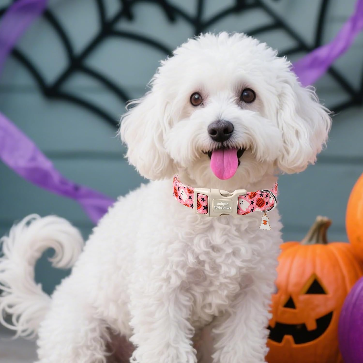 Thumbnail 3 de Unique Style Paws CC-PumpkinGhost-L Halloween Dog Collar, Cotton, Adjustable