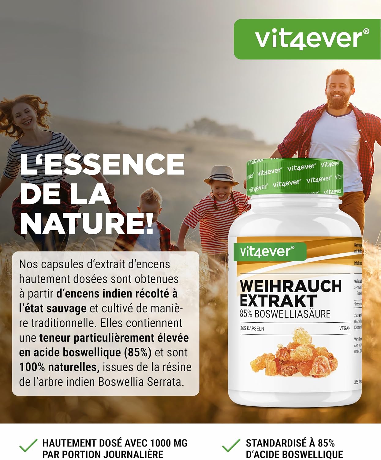 Thumbnail 1 de Vit4ever Extrait d’encens 365 gélules Premium – 85% d’acide boswellique (1000 mg/jour, vegan)