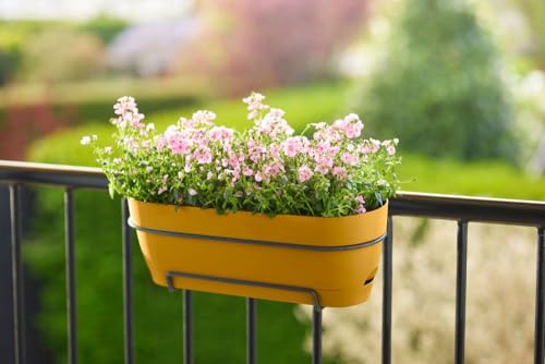 Thumbnail 7 de Elho Vibia Campana Trough Allin1 70 jardinera 70,4×17,7 cm