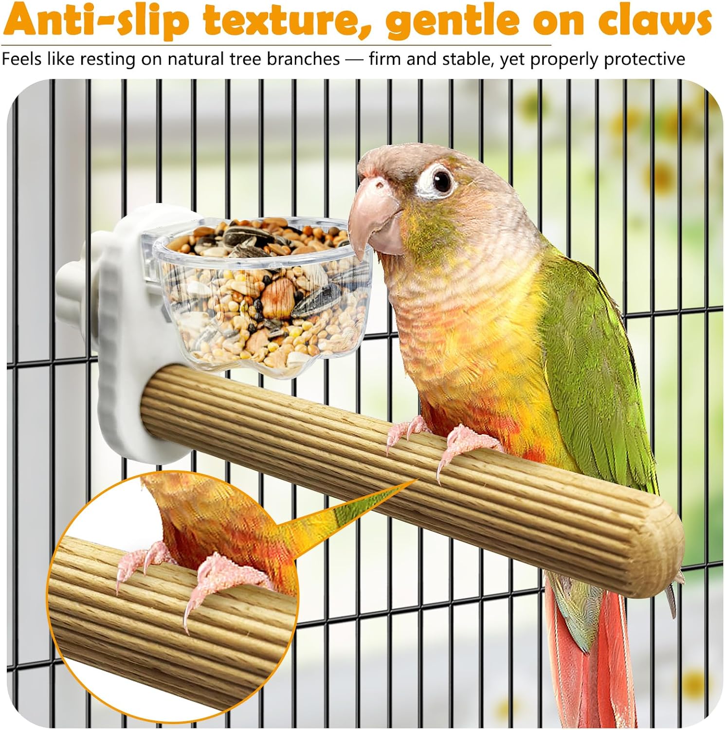 Detalle 2 de Kathson Wooden Bird Perch with Feeder