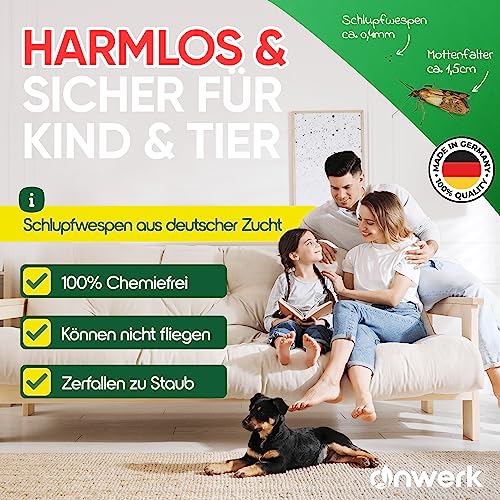 Detalle de anwerk Schlupfwespen gegen Kleidermotten – 12 Karten, 1 Lieferung