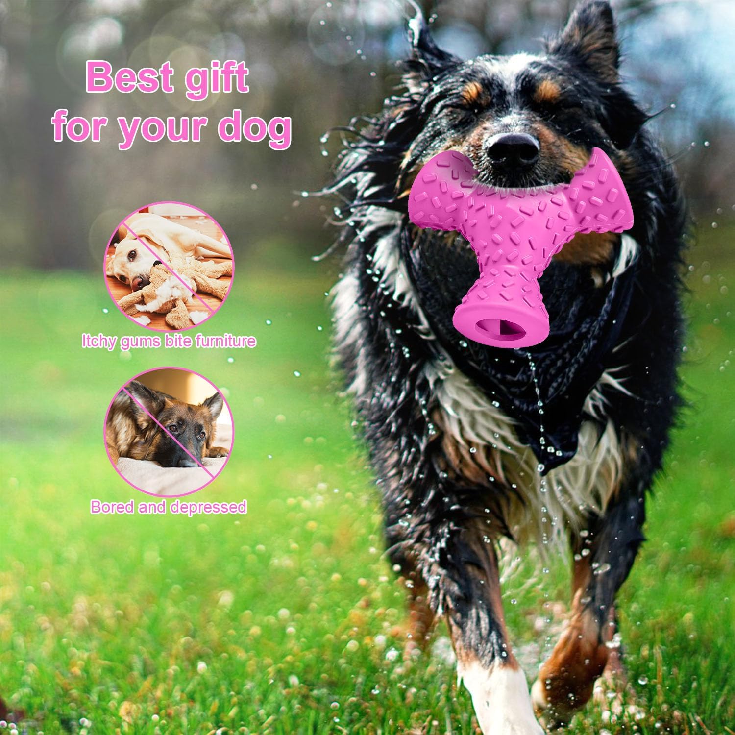 Thumbnail 2 de Autoau Giochi per Cani da masticare