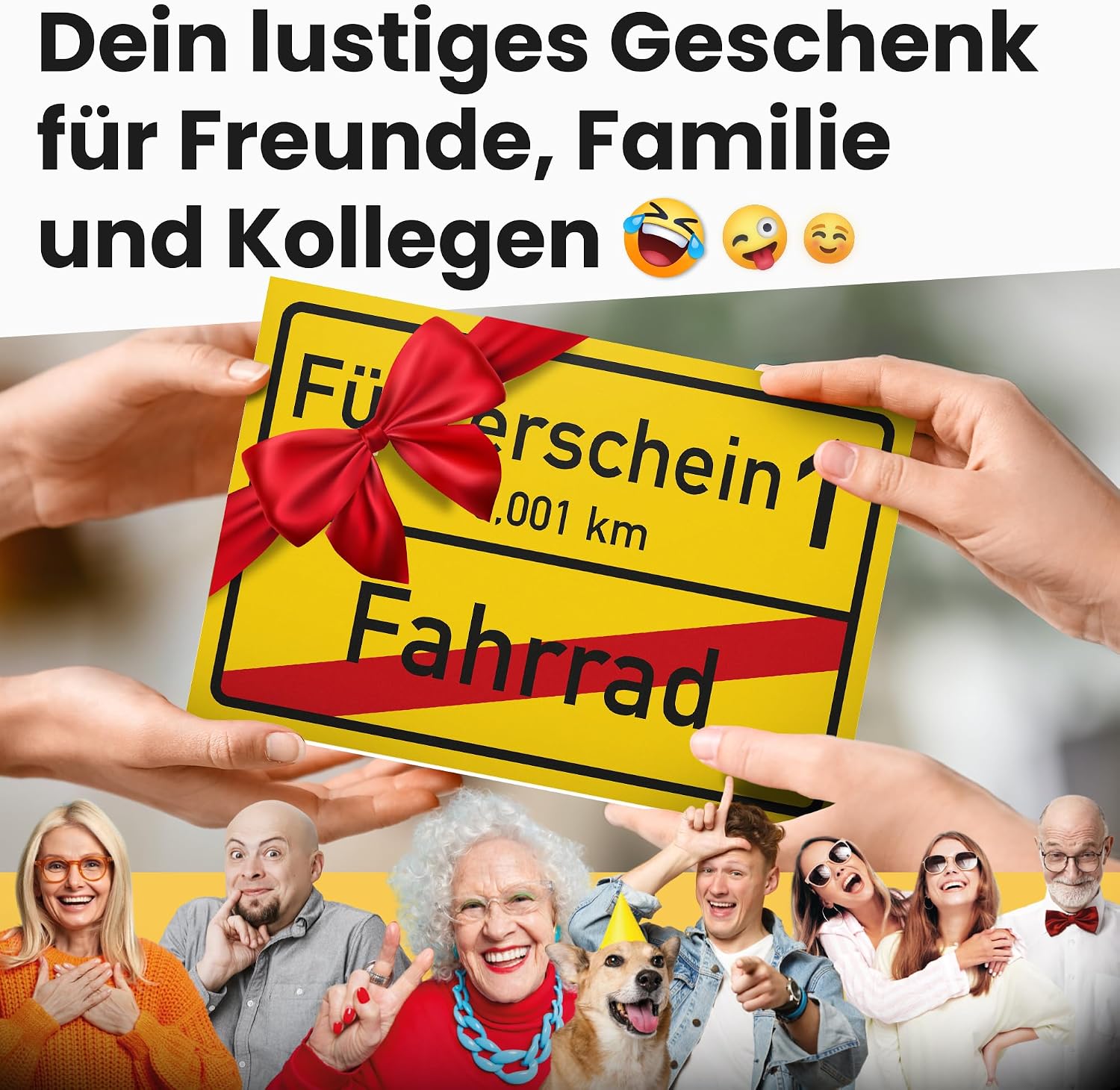 Detalle de DankeDir! Führerschein Schild 30 x 20 cm
