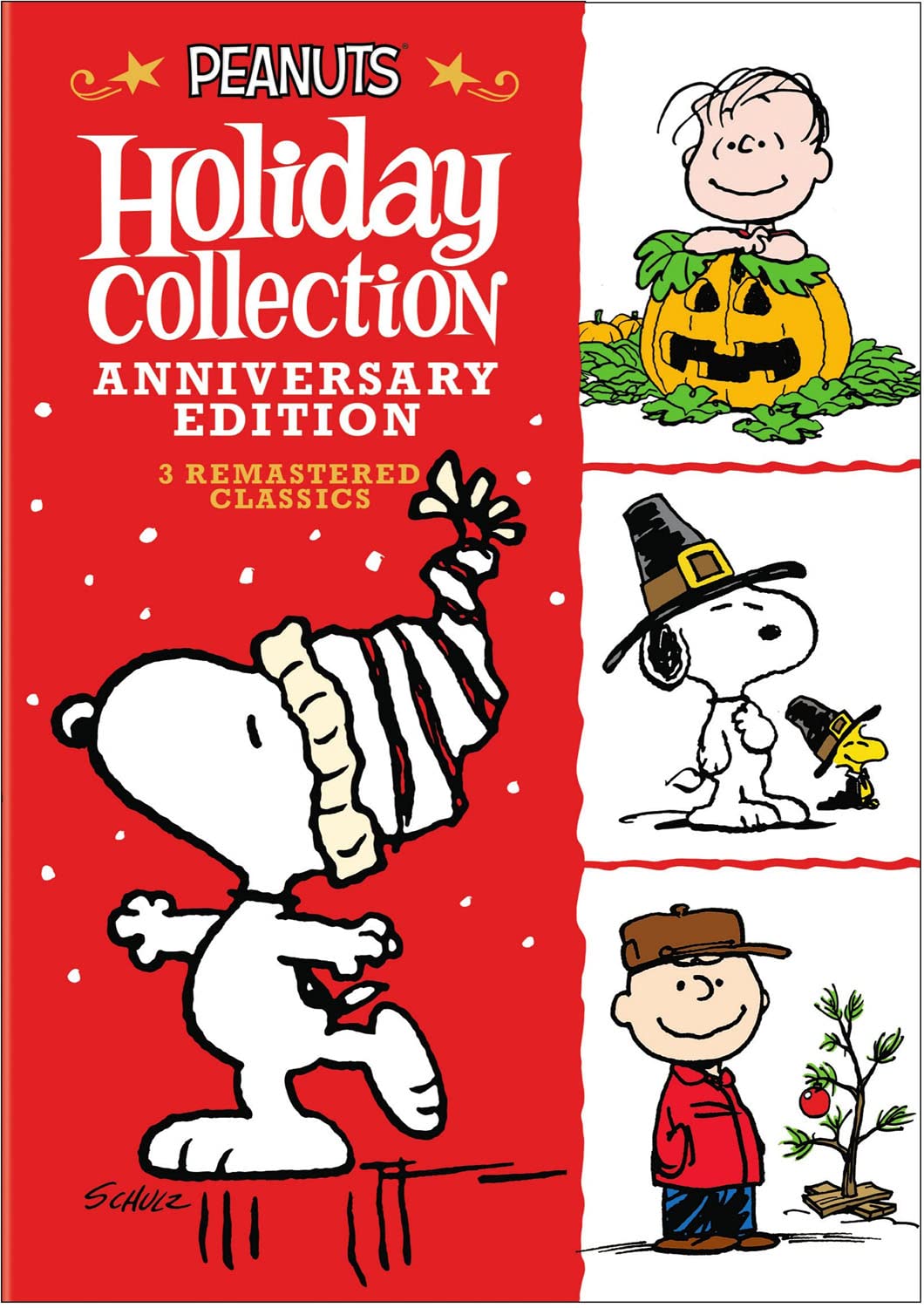 Detalle de Peanuts 43298292 Holiday Anniversary Collection DVD, NTSC, English