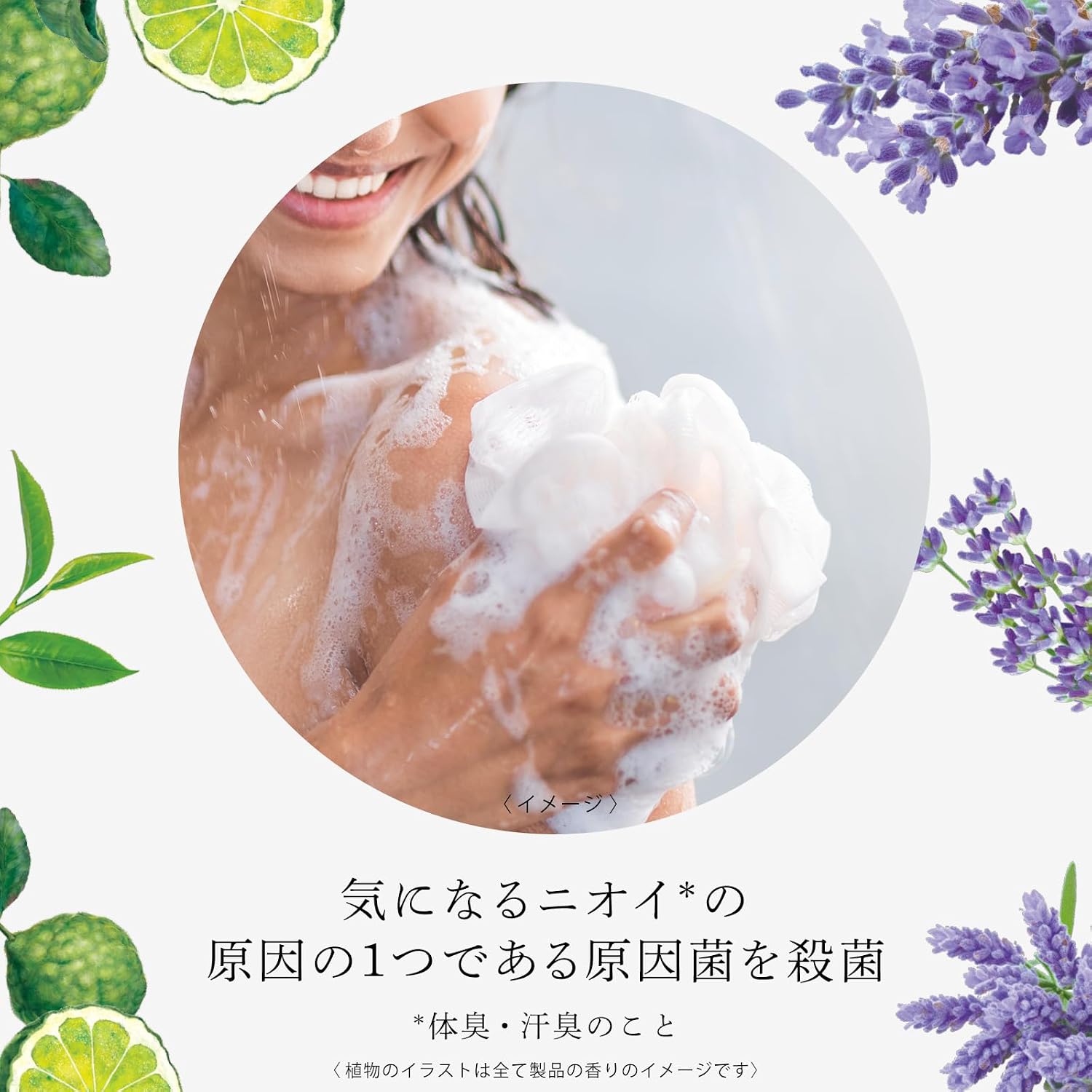 Detalle de ミューズ ボタニカル ラベンダー 固形せっけん 4個セット|ラベンダー&ムスクの香り