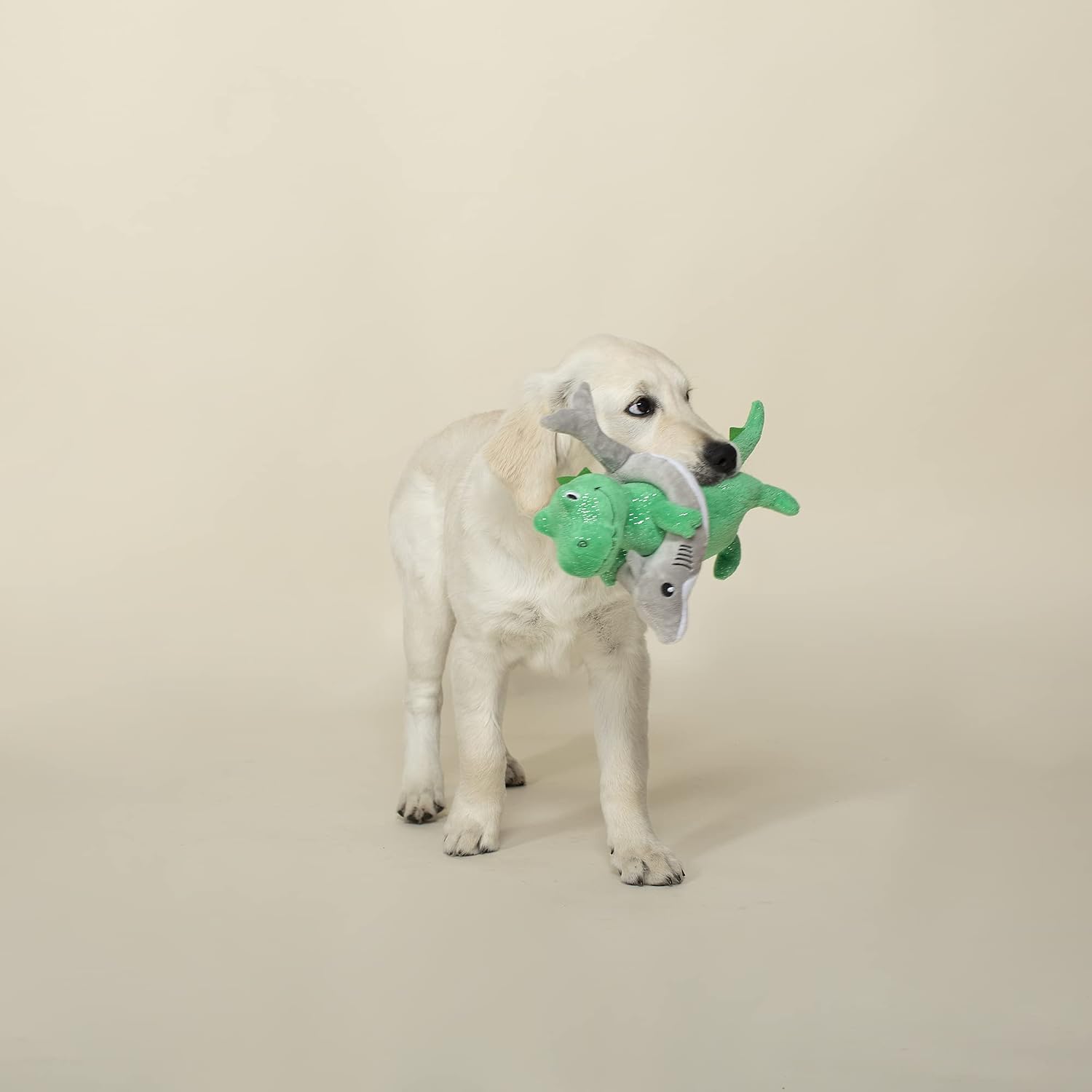 Detalle de Fringe Studio Hundespielzeug Plüsch Shark Week REX: Kauspielzeug für alle Rassengrößen