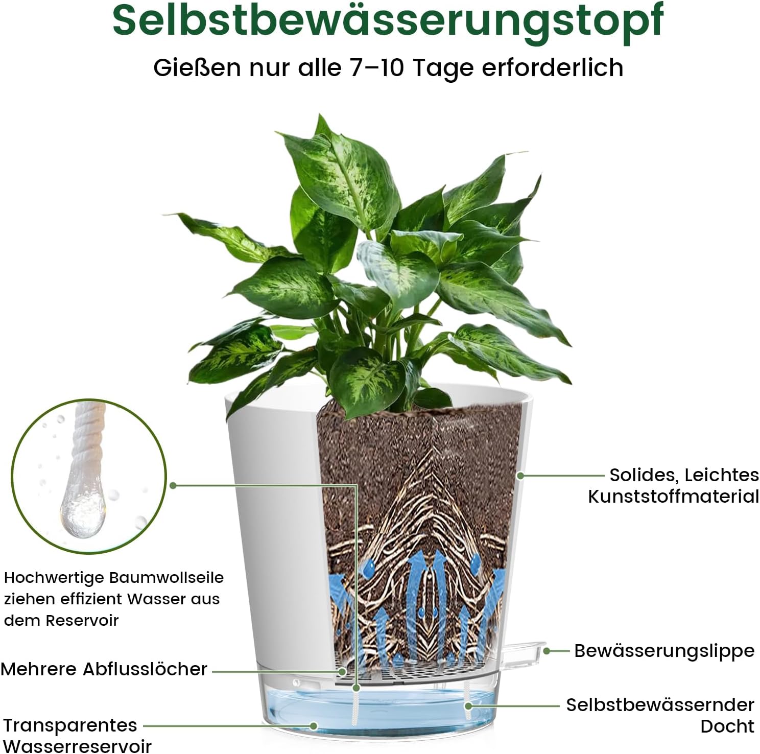 Thumbnail 3 de WSMKSZ 15 cm Selbstbewässernder Blumentopf – 5er Set, Weiß