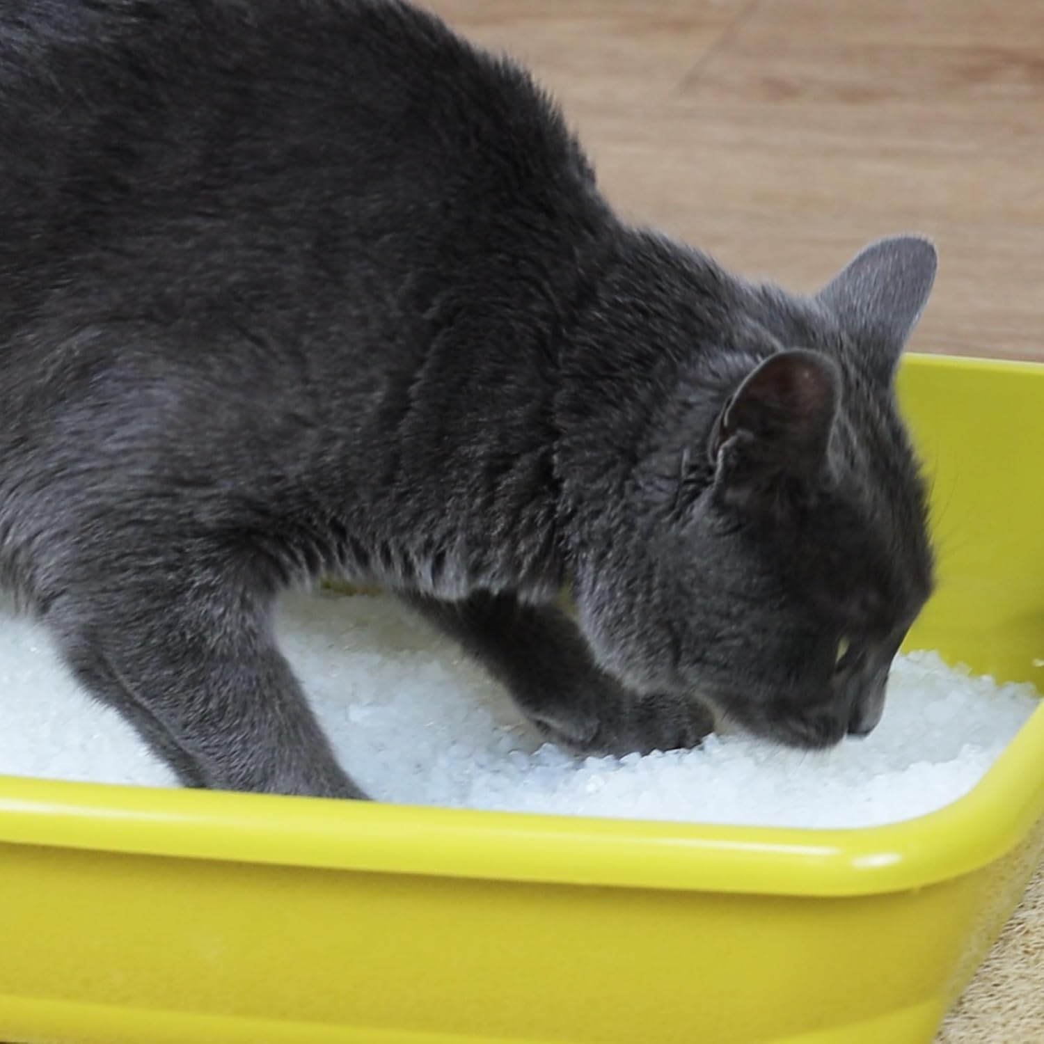 Thumbnail 6 de Croci Easy Clean Lettiera Gatto in Cristalli di Silicio 7,5 L – alta assorbenza e pulizia veloce