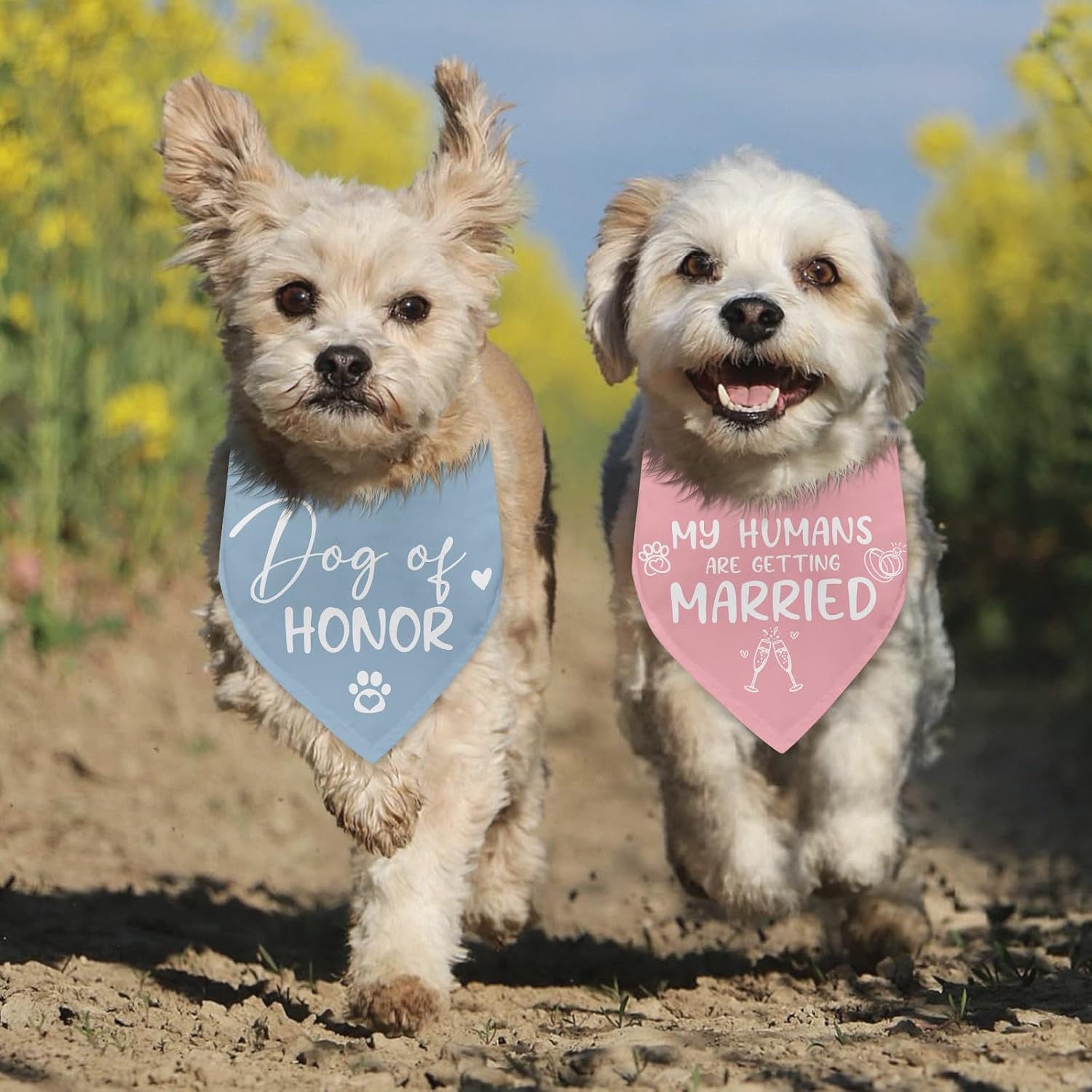 Detalle 2 de Dog Wedding Bandanas, 2-Pack