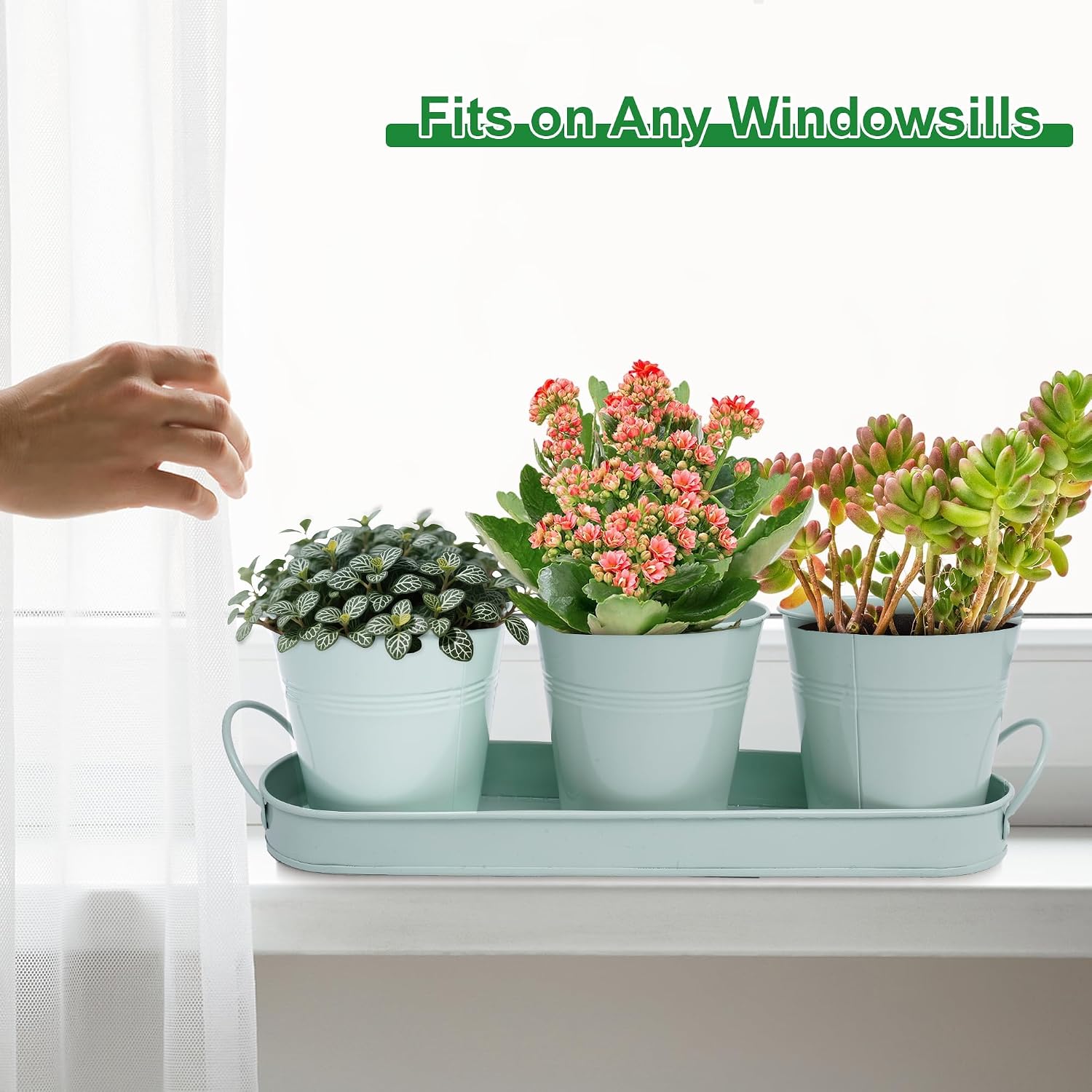 Detalle 1 de Wacloud Indoor Herb Planter, Metal