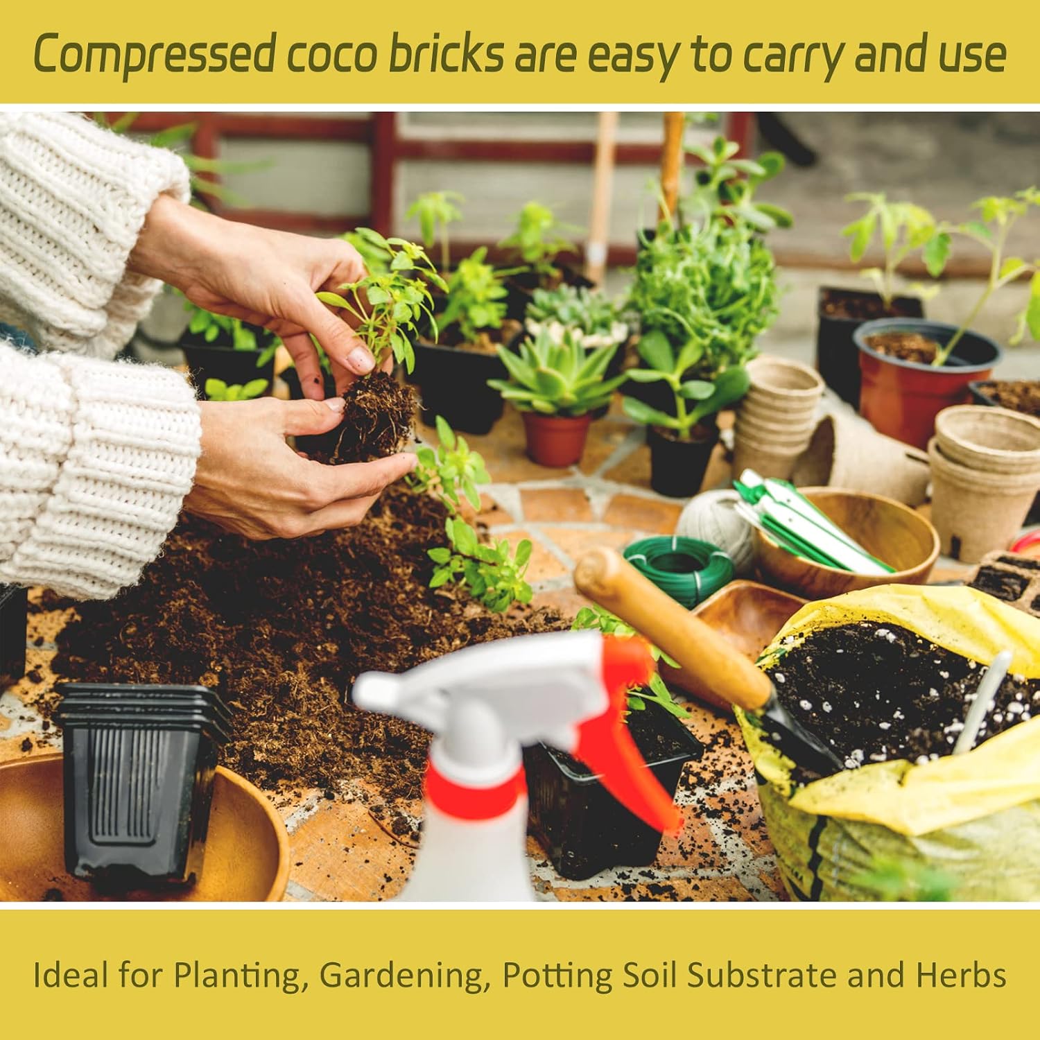 Thumbnail 6 de Legigo LG-UK-Blue Coco Bricks-3pcs Coco Coir, 3-Pack for Seed Starting