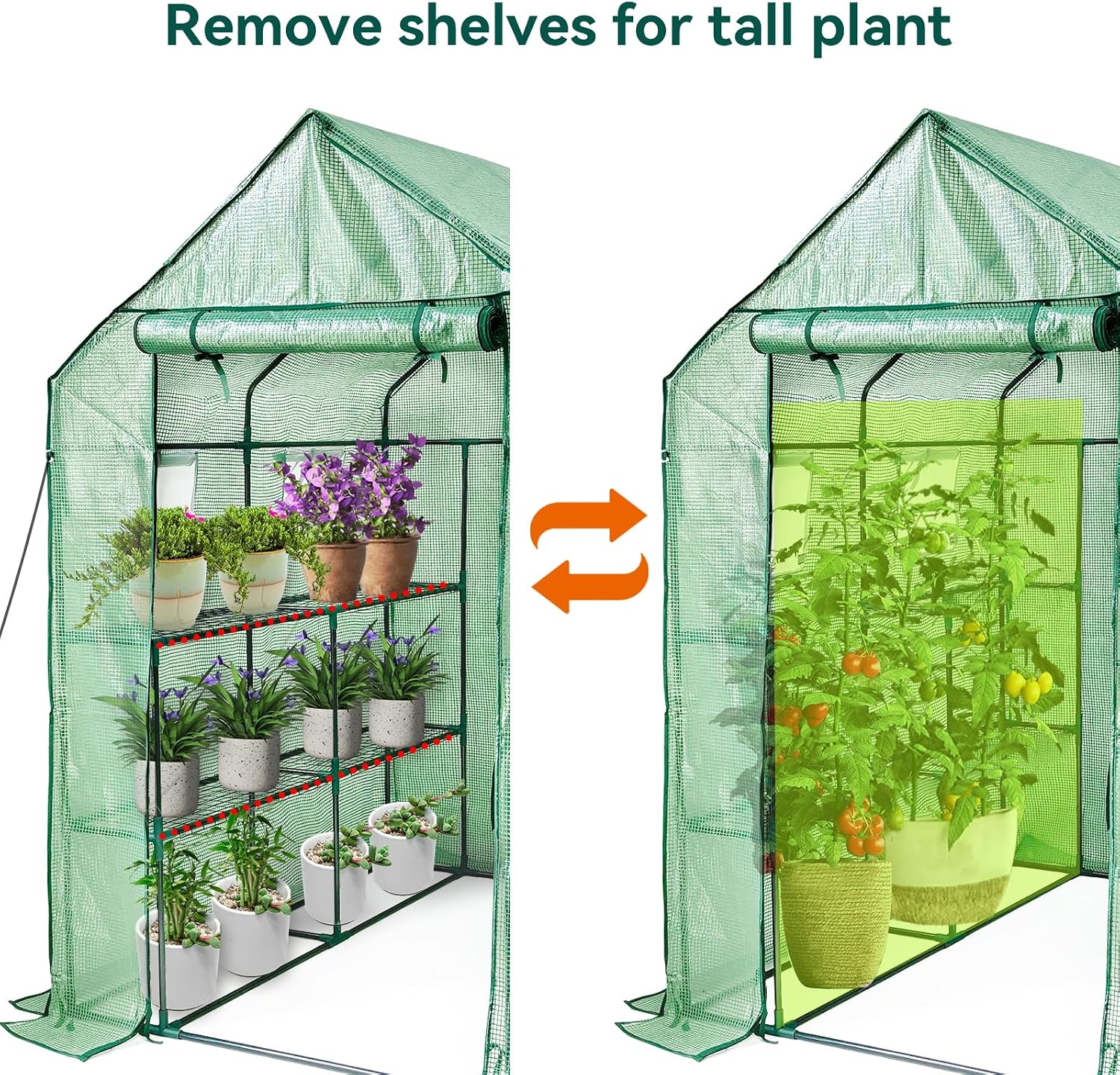 Detalle 2 de Grandhom Walk In Greenhouse 143x143x195cm